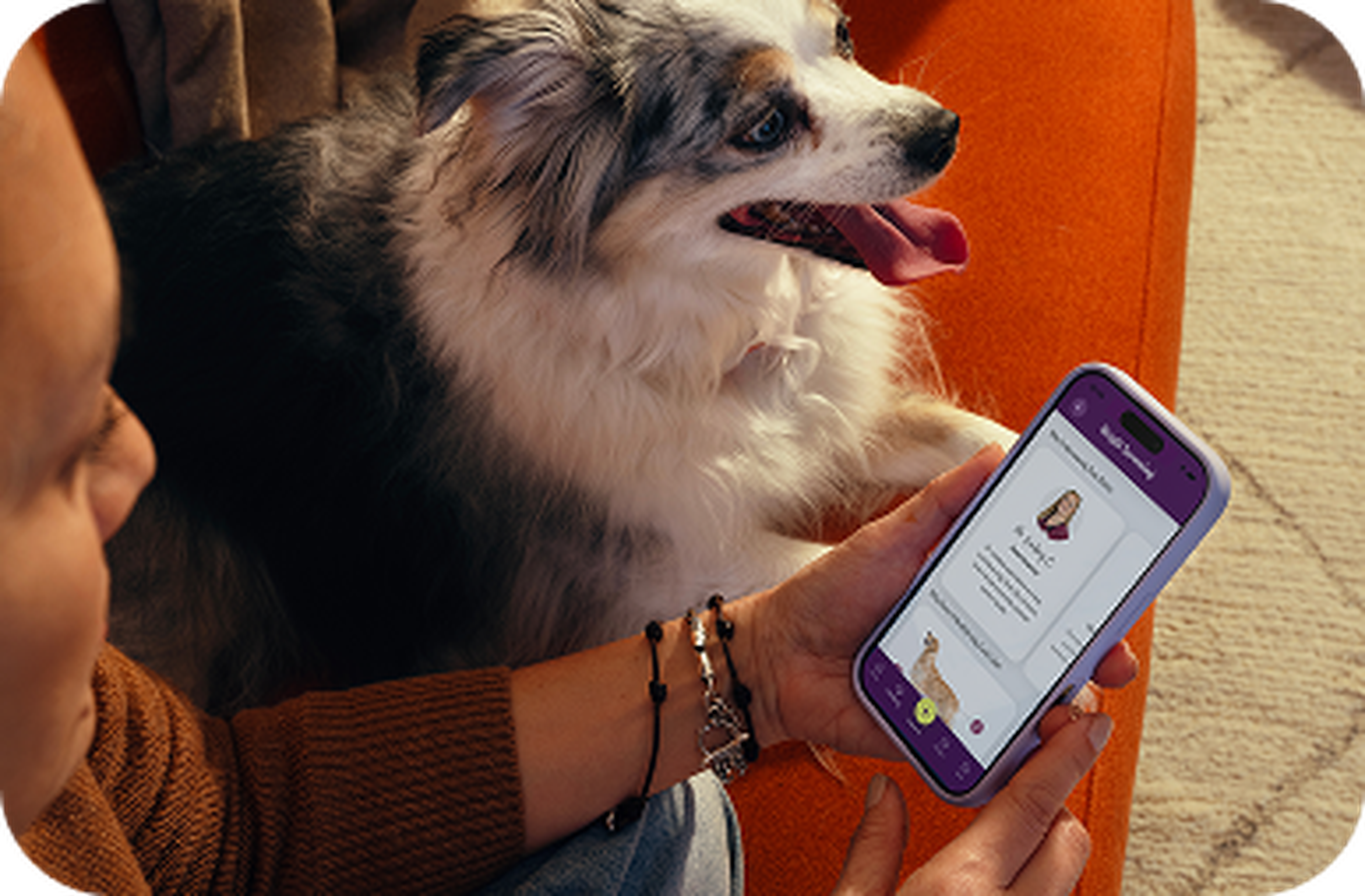 Person holding a smartphone with a dog sitting nearby on a couch, showing an app screen featuring pet-related content.