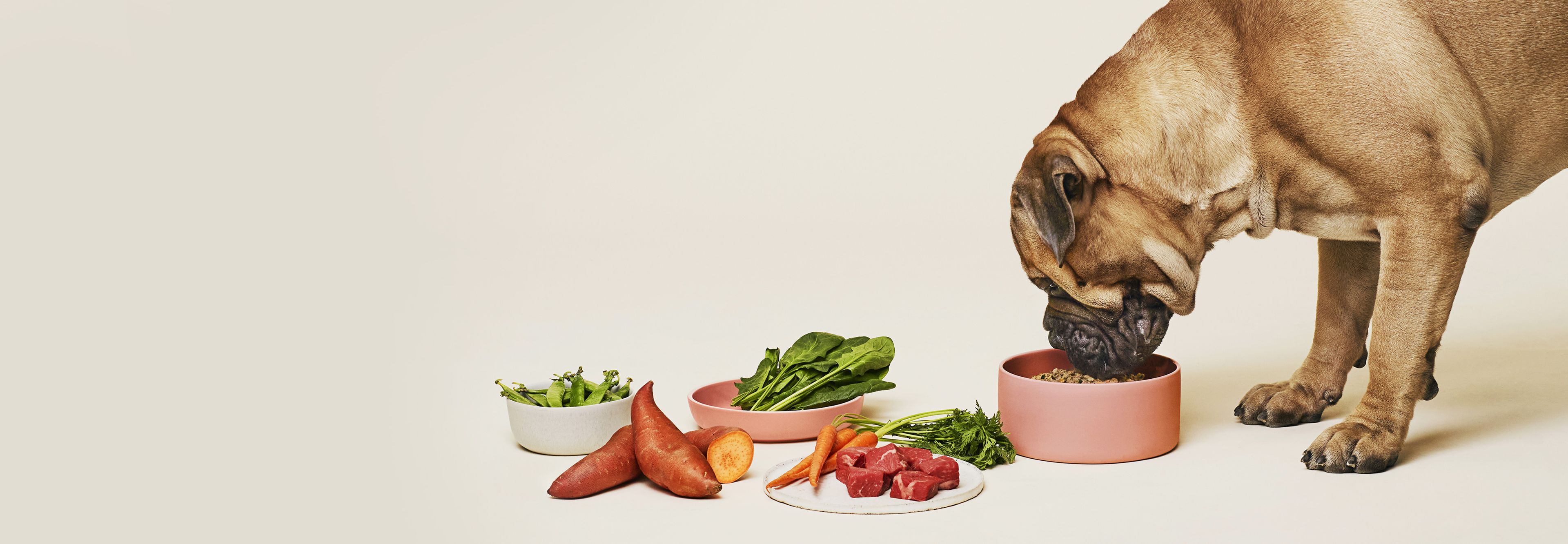 Dog sniffing at bowl of ollie next to ingredients