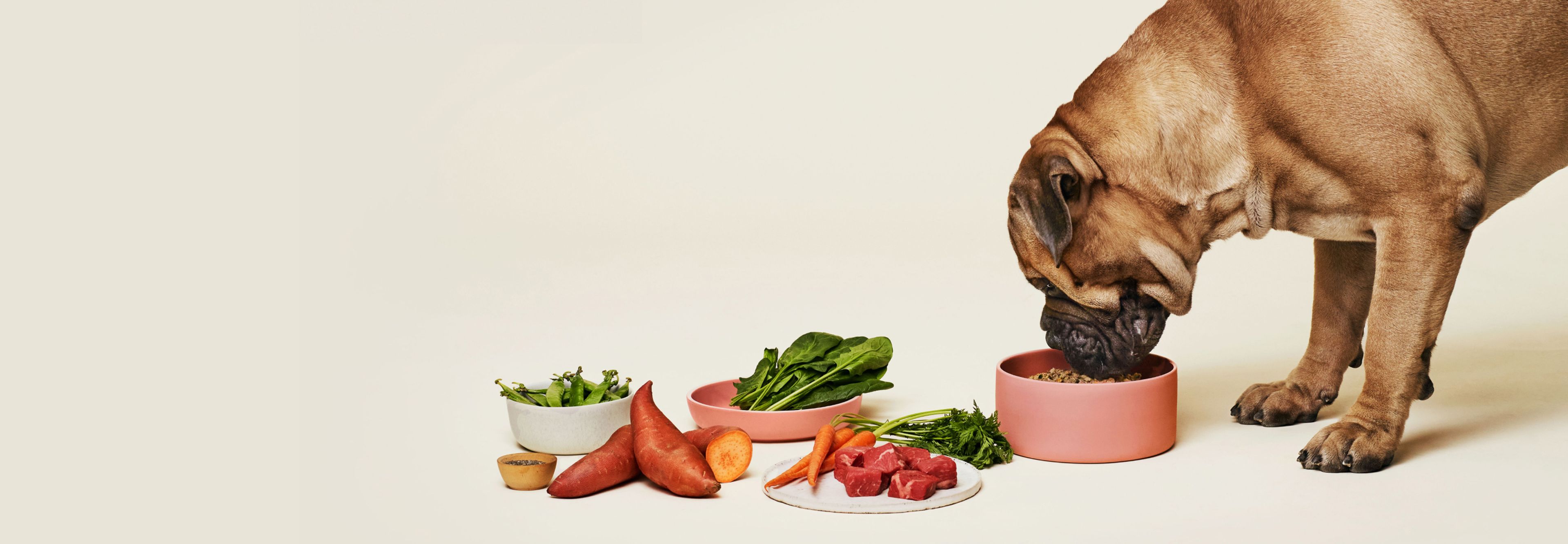 Dog sniffing at bowl of ollie next to ingredients