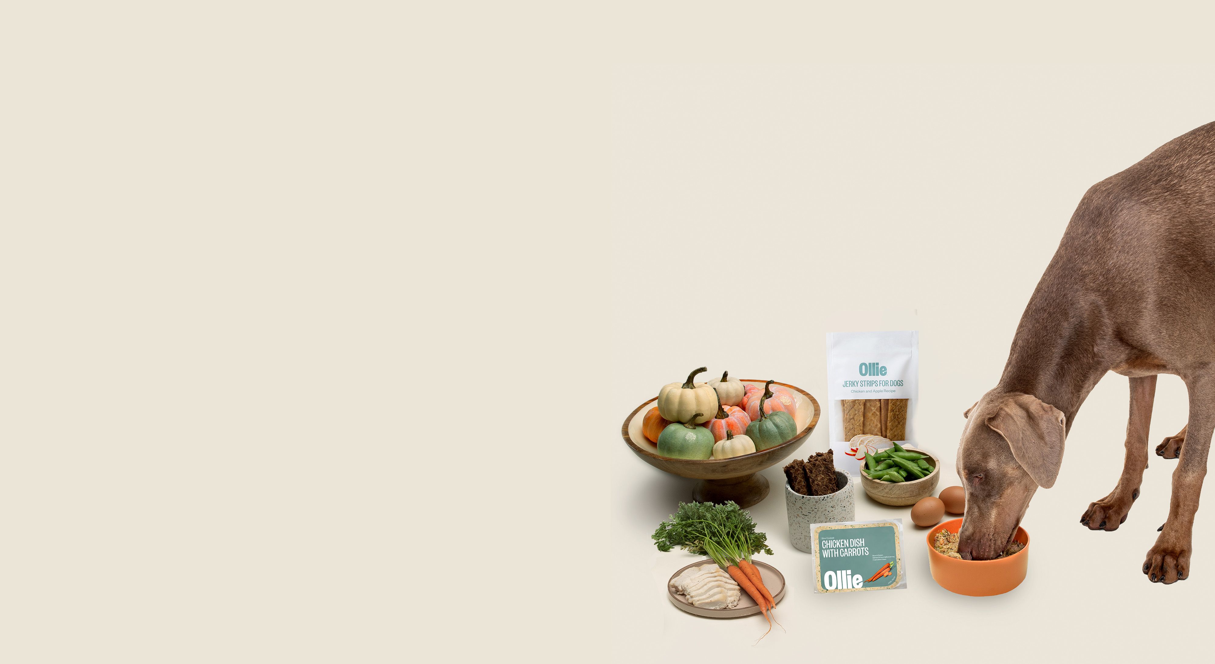 Ollie: Healthier, Human-Grade Dog Food Delivery