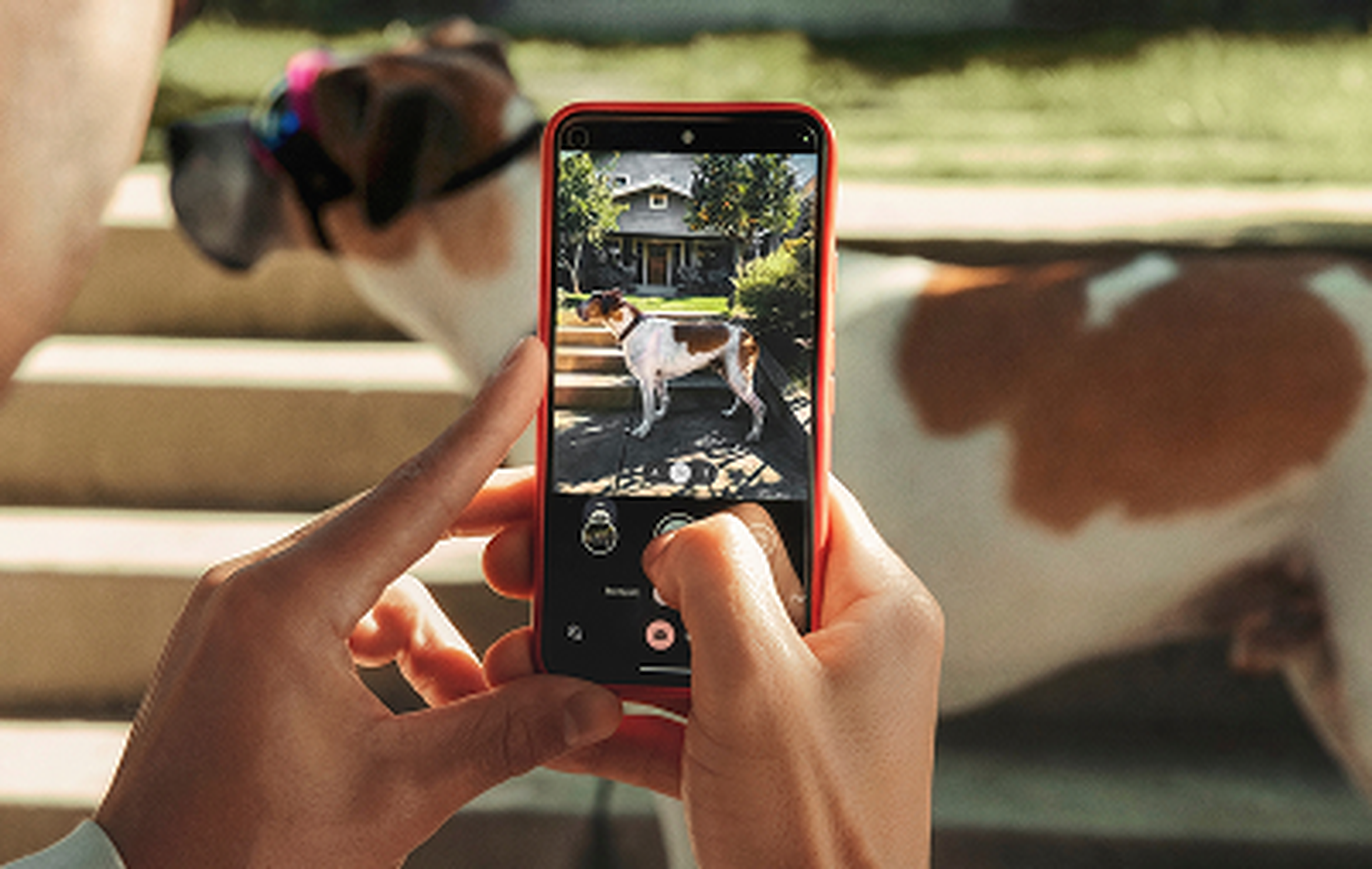Person taking a photo of a dog wearing sunglasses on steps, with a smartphone showing the dog's image on the screen.