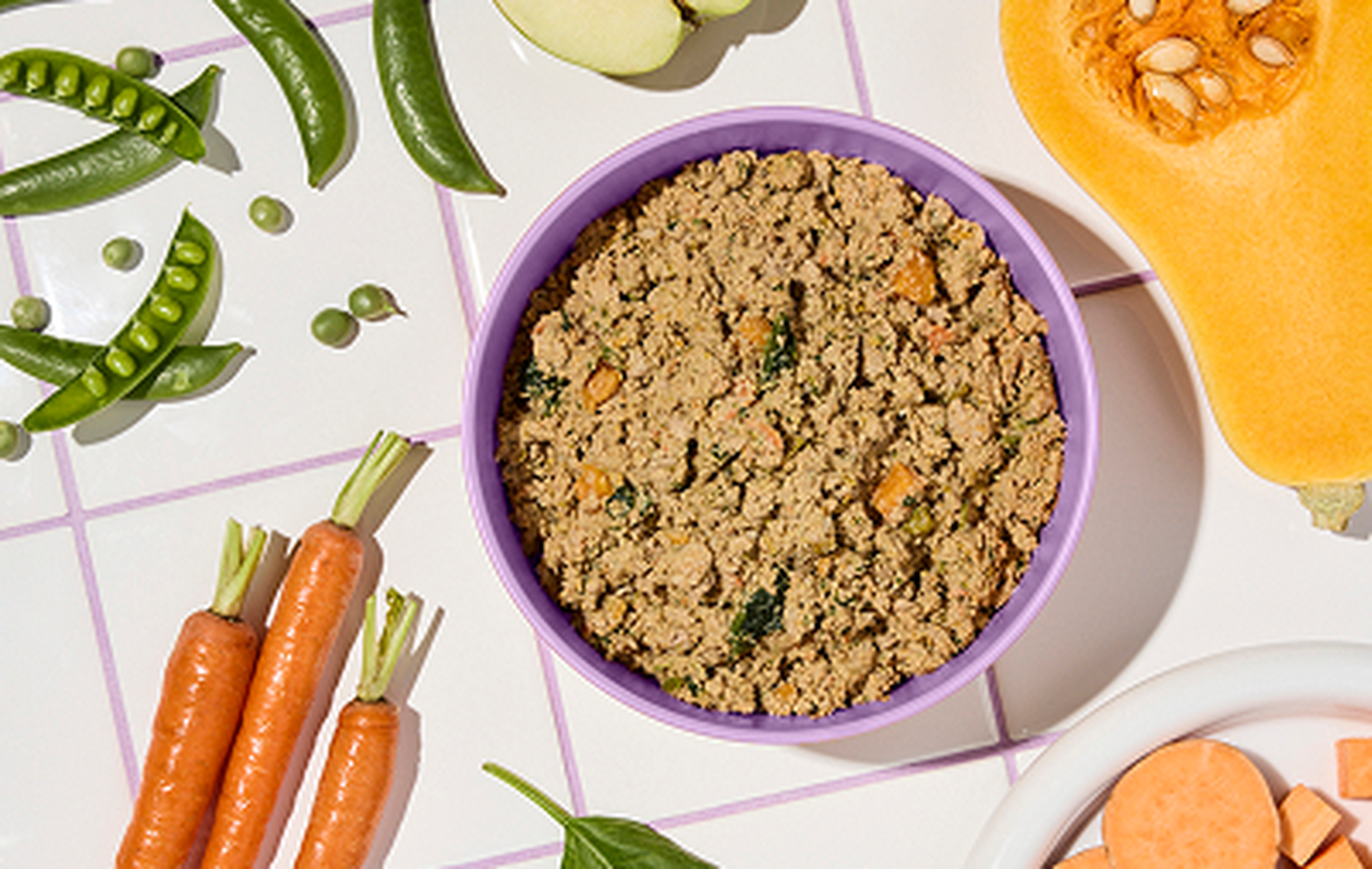 A bowl of Ollie fresh dog food surrounded by fresh carrots, pea pods, apple slices, and butternut squash on a tiled surface.