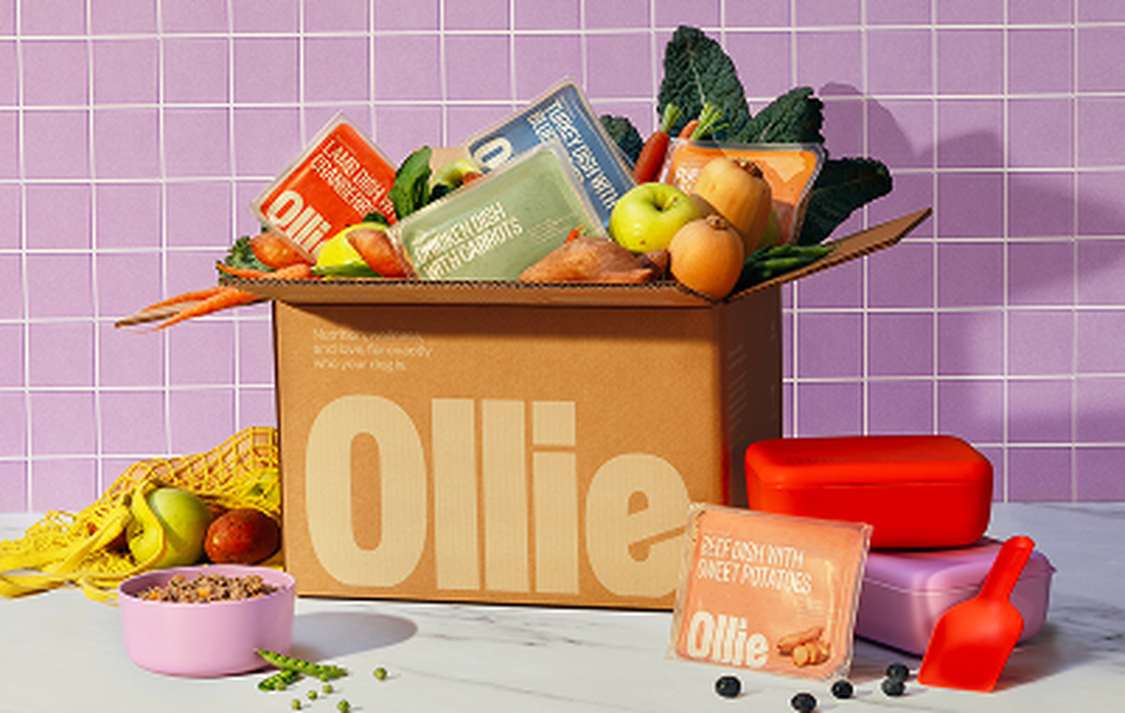 Box of Ollie fresh dog food and fresh ingredients, including apples and kale, against a pink tiled background with containers and a scooper.