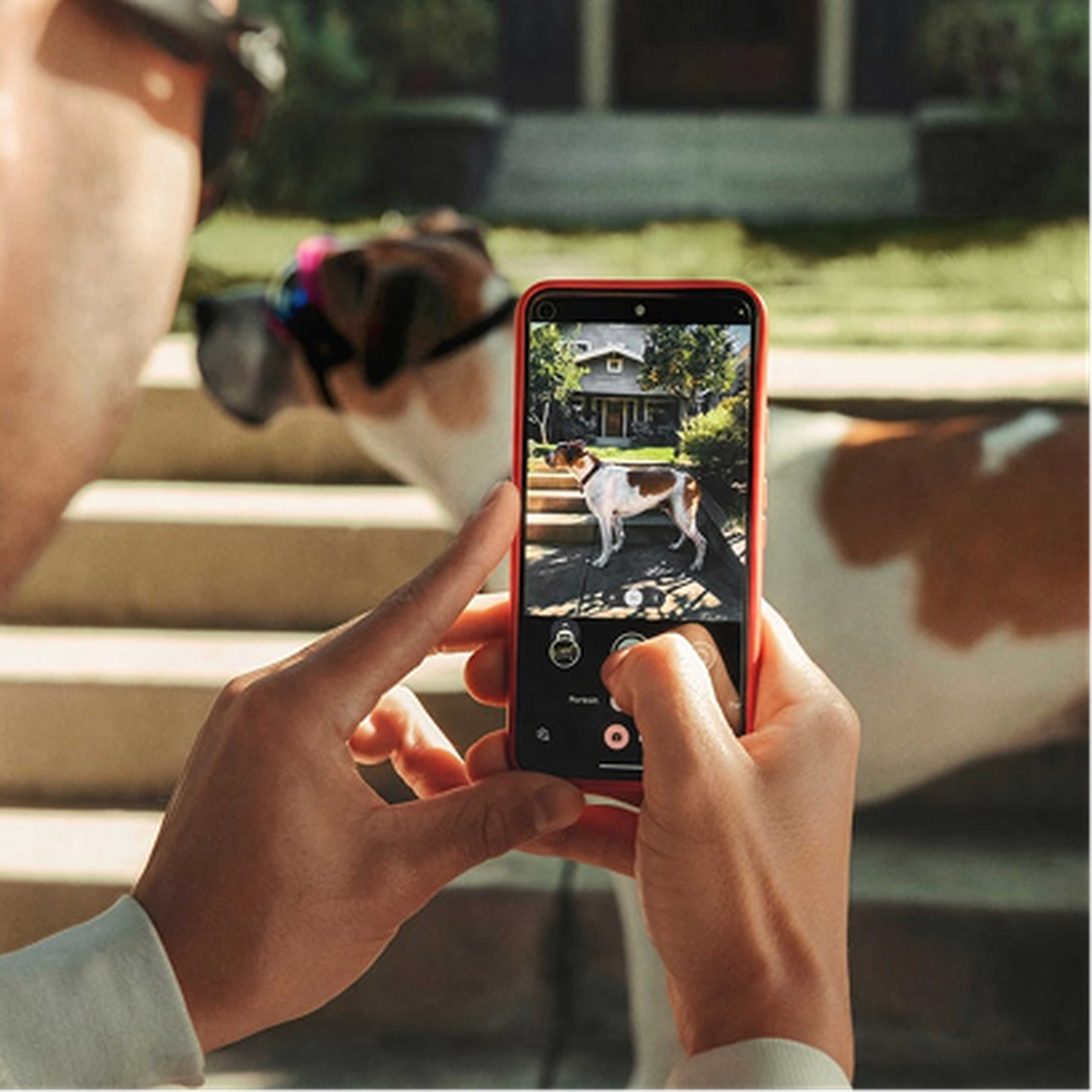 Person taking a photo of a dog on a smartphone, with the dog wearing sunglasses and standing on steps in front of a house.