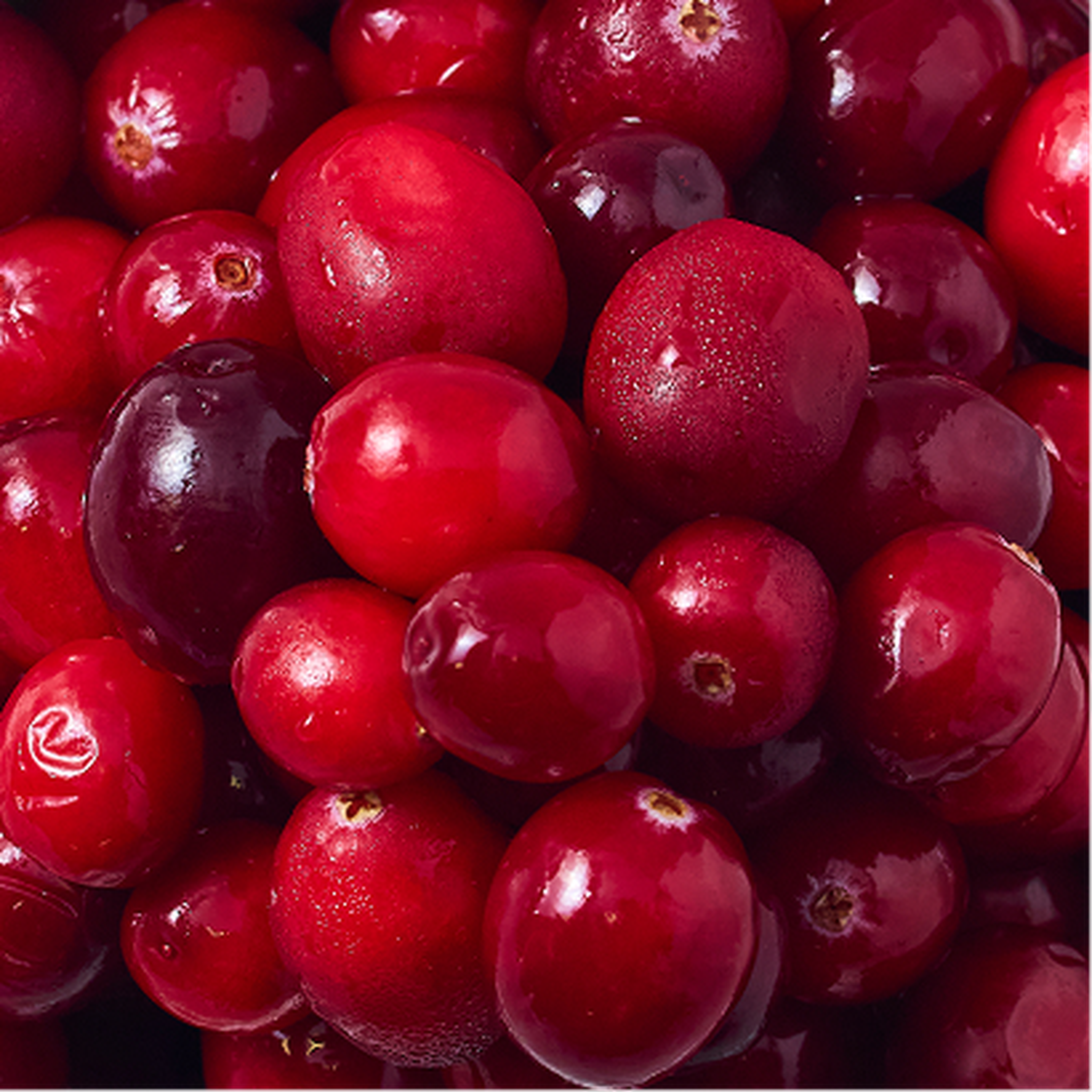 A close-up of fresh, glistening red cranberries, showcasing their smooth, shiny texture and vibrant color.