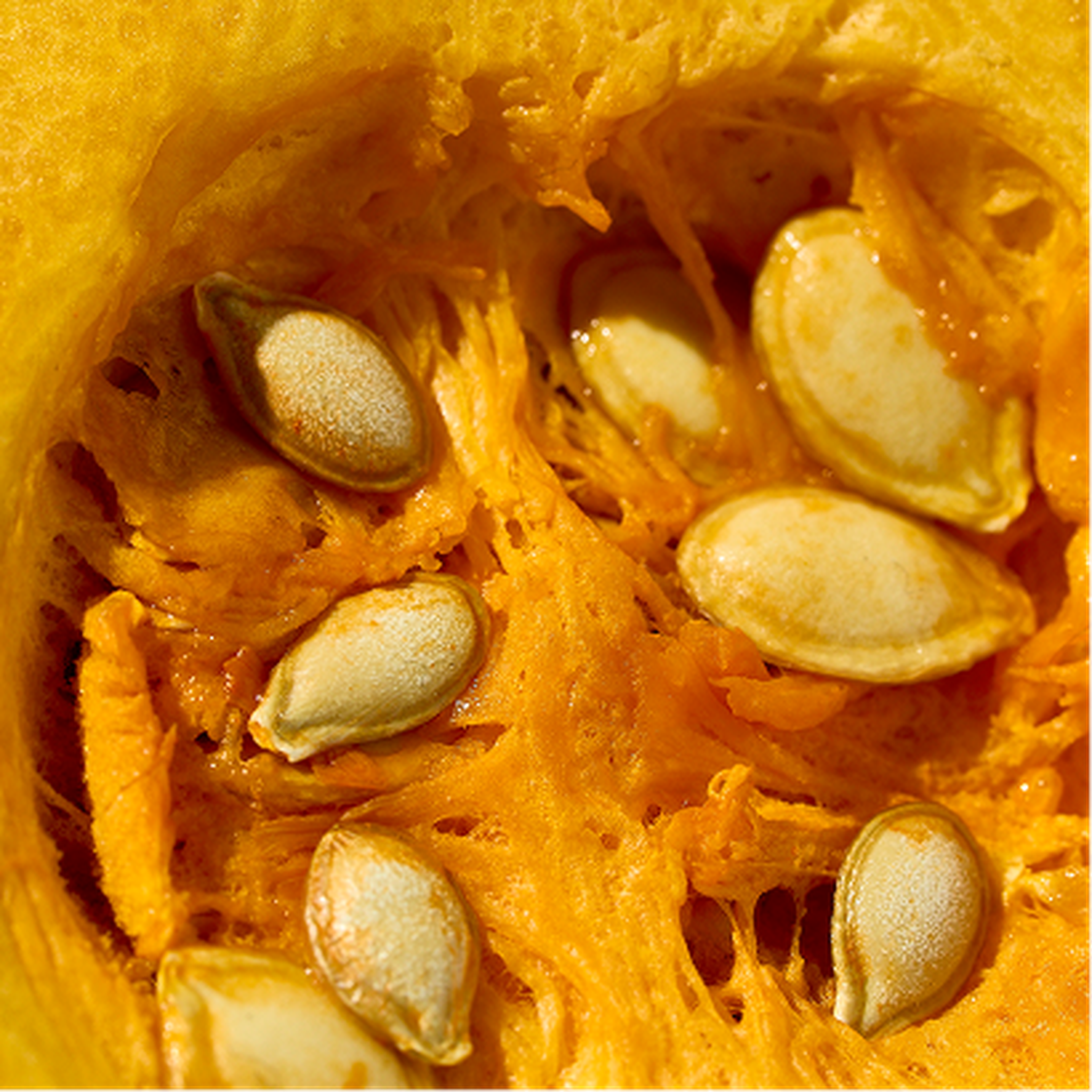 Close-up of a squash interior showing bright orange flesh and several cream-colored seeds clustered amidst the fibrous strands.