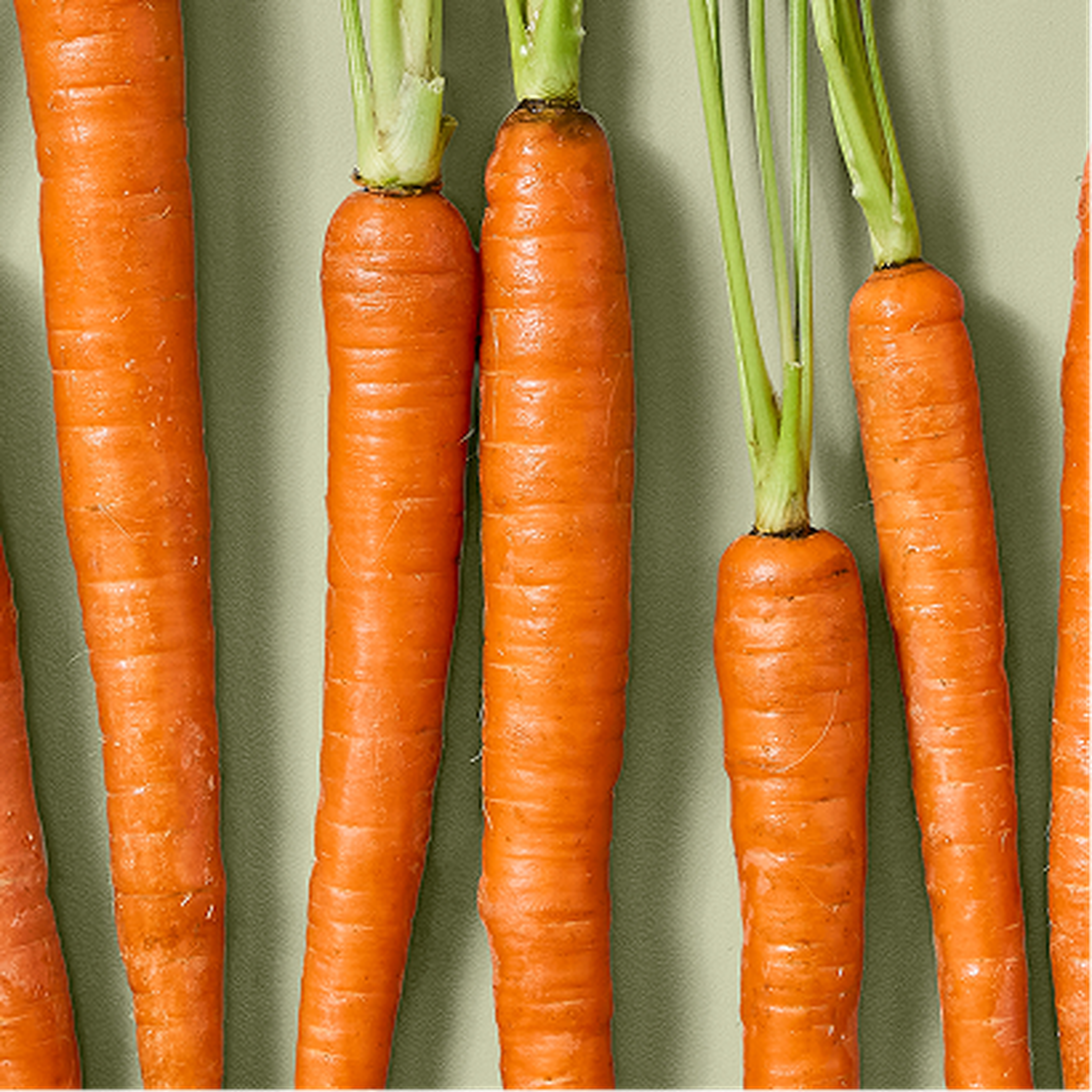 Several fresh, orange carrots with green tops arranged in parallel on a light background.