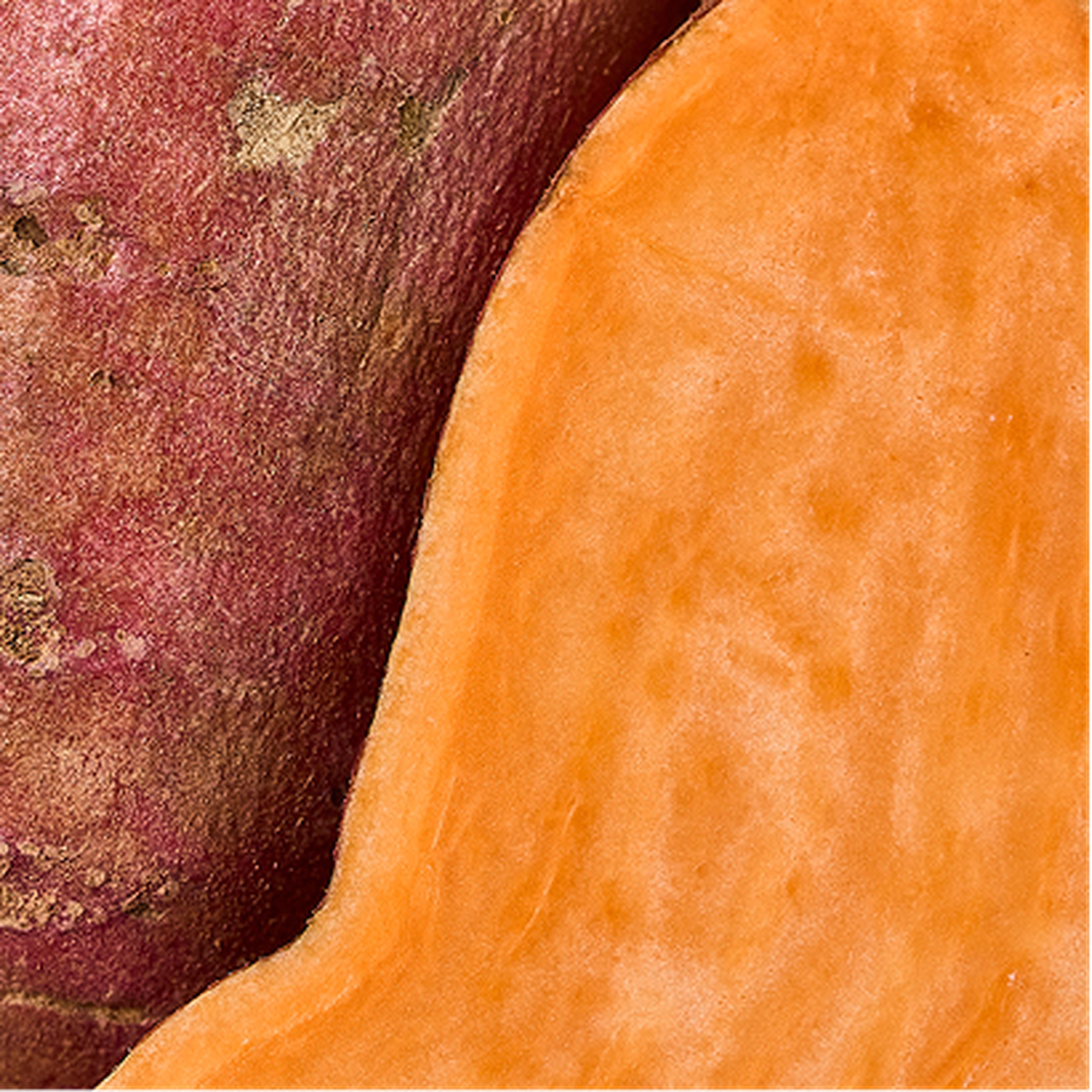 Close-up of a cut sweet potato, showing its rough purple skin and the vibrant orange flesh inside.