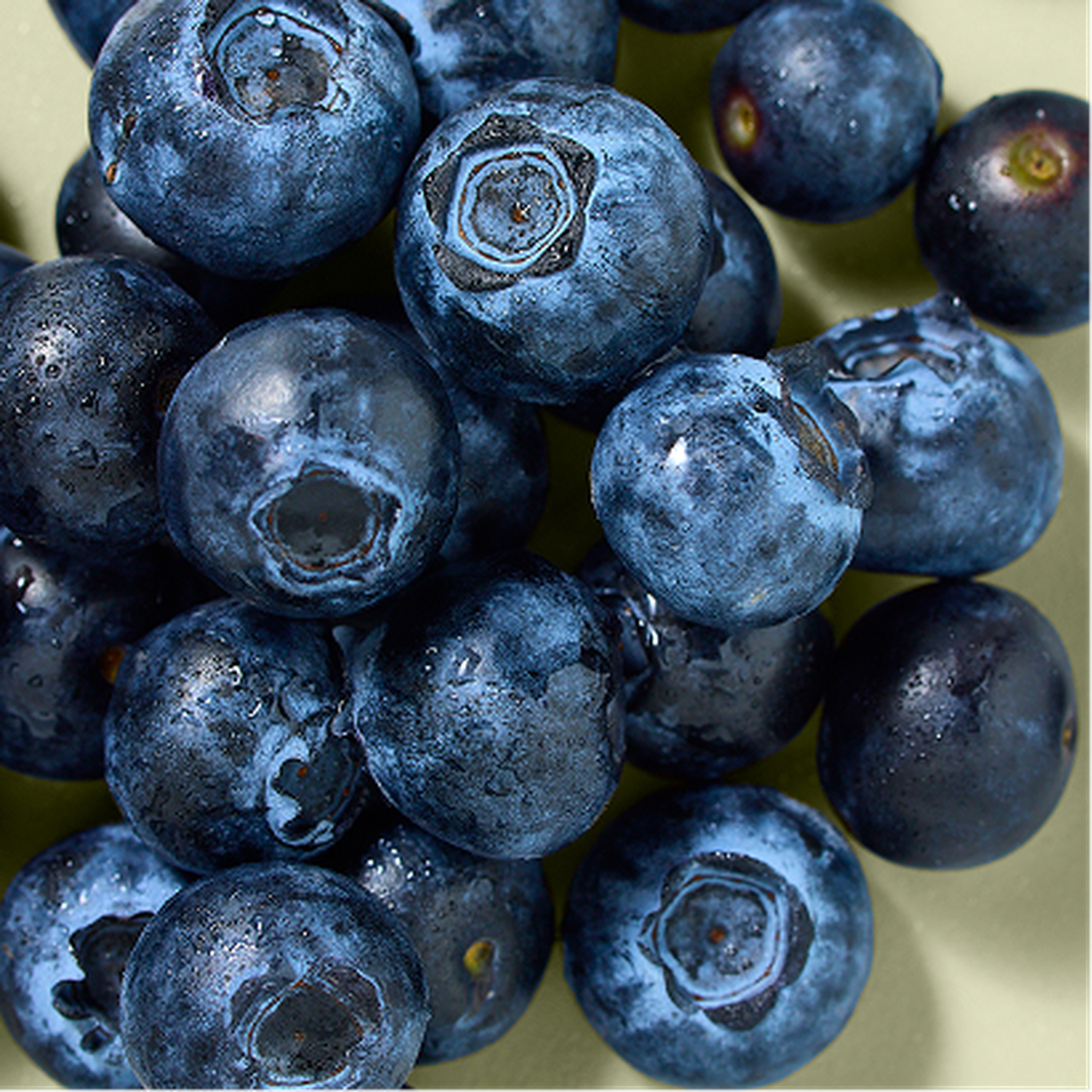 Close-up of fresh blueberries, some with drops of water, resting in a bowl. The berries are vivid blue with a smooth, glossy appearance.
