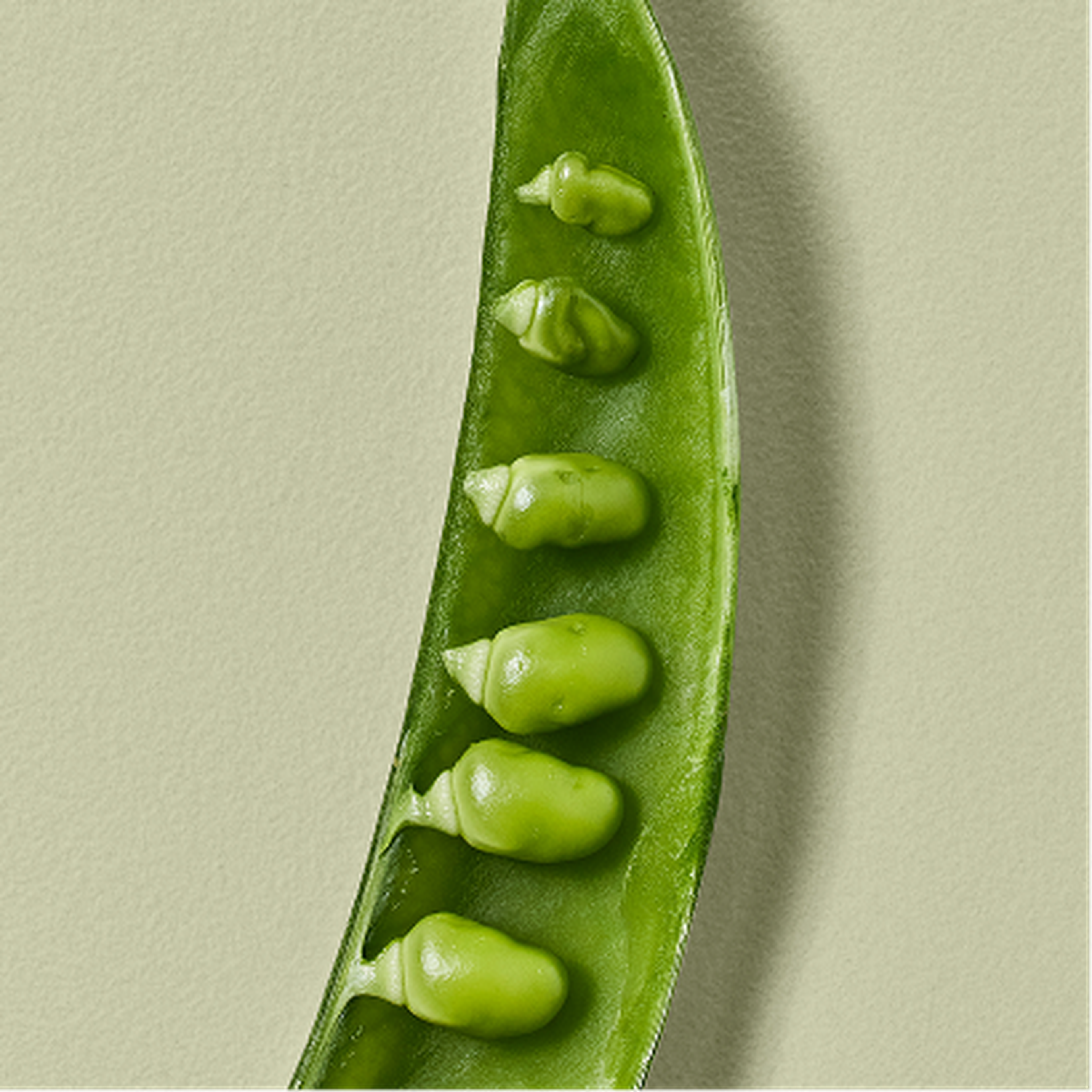 Close-up of a green pea pod with six oddly shaped peas inside, arranged from small to large, on a light green textured background.