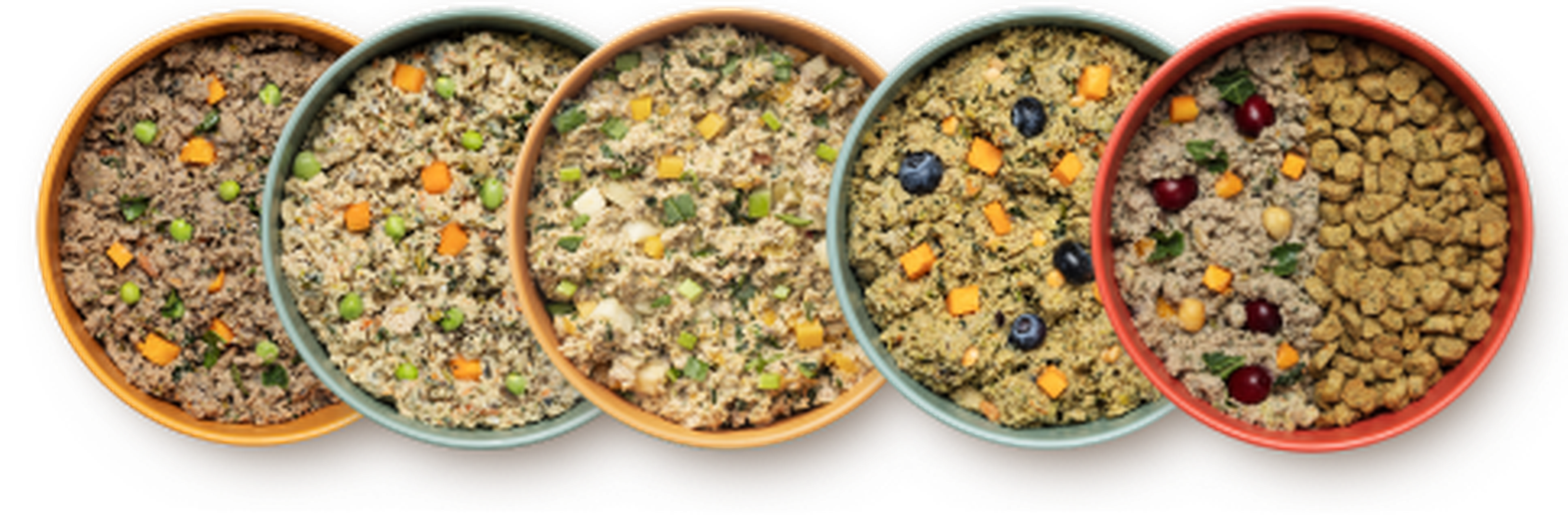 Ollie Fresh and Baked food can be combined for the perfect meal for your pup