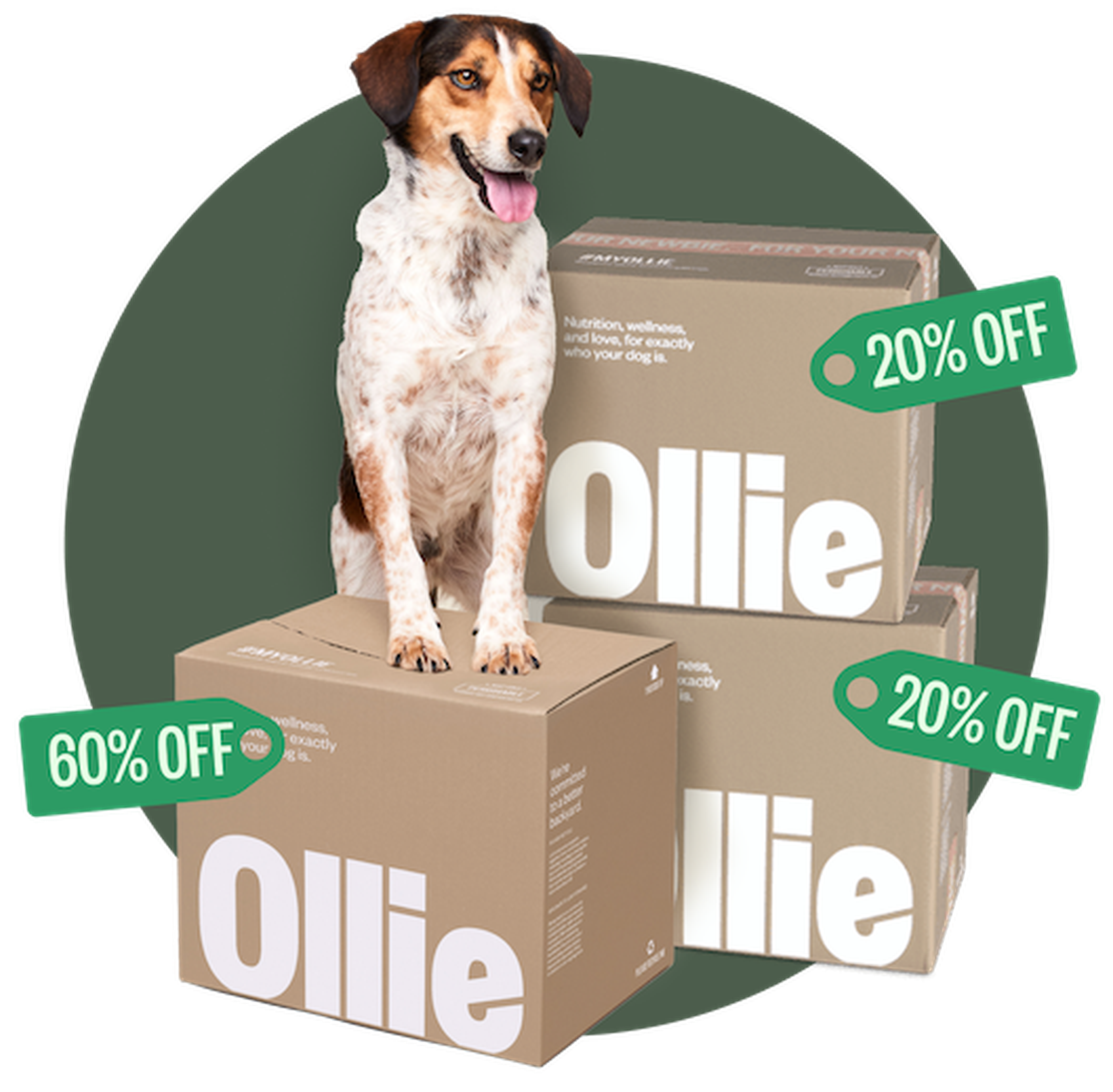 A happy dog sits on Ollie pet food boxes with discount tags showing 60% and 20% off.