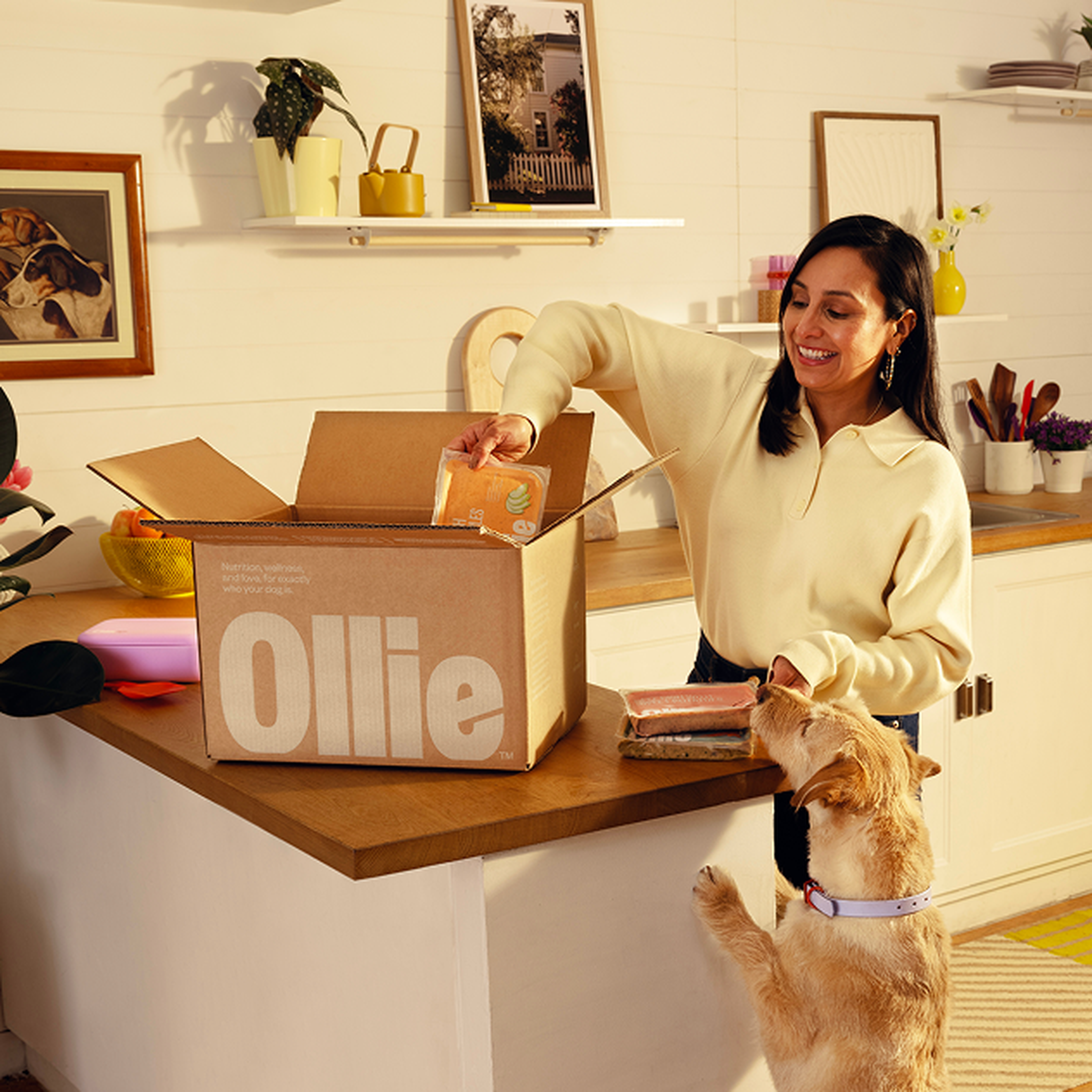 A woman unpacks a box labeled "Ollie" in a kitchen while a dog eagerly watches from the counter.