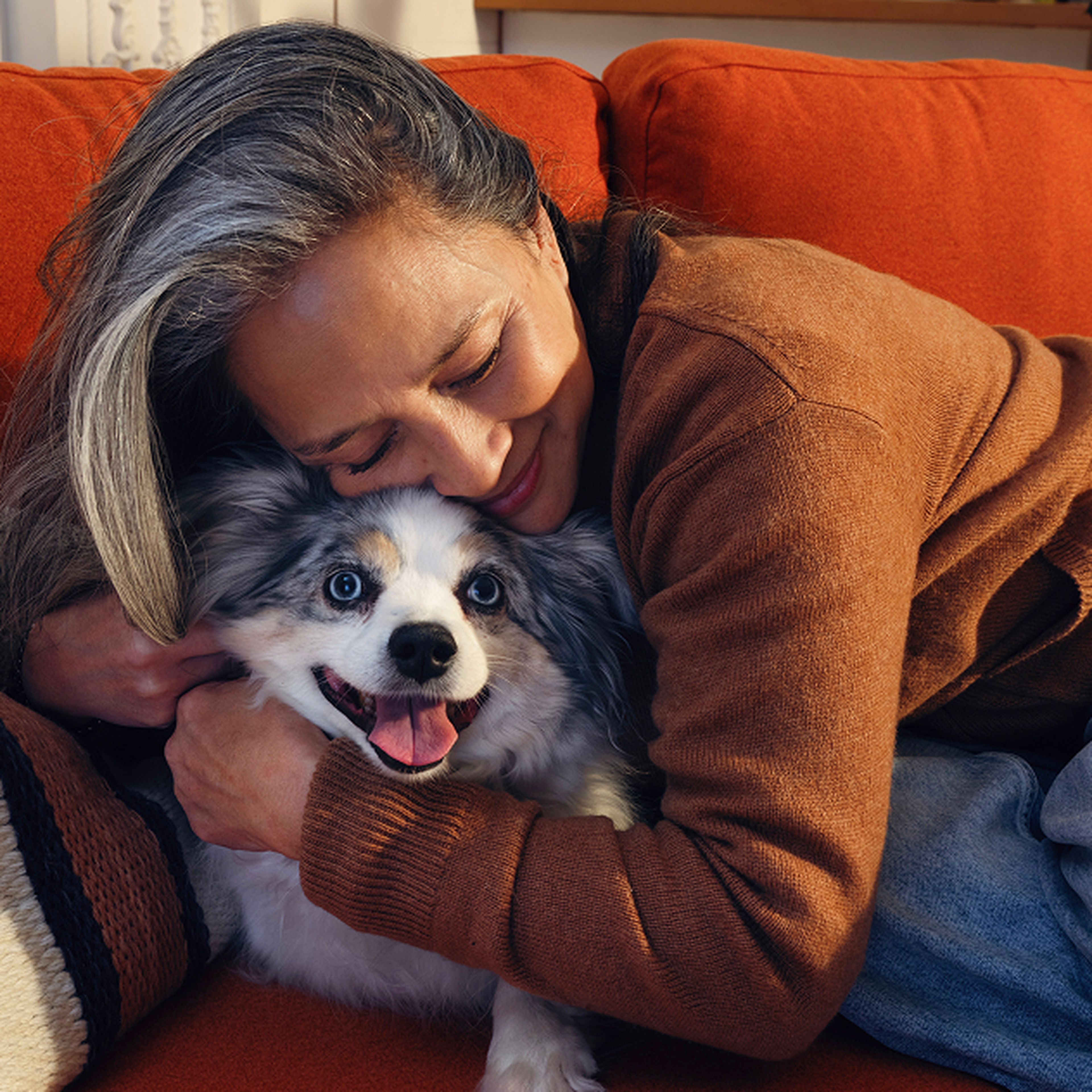 A woman with gray hair is smiling and hugging a happy multicolored dog on an orange sofa.