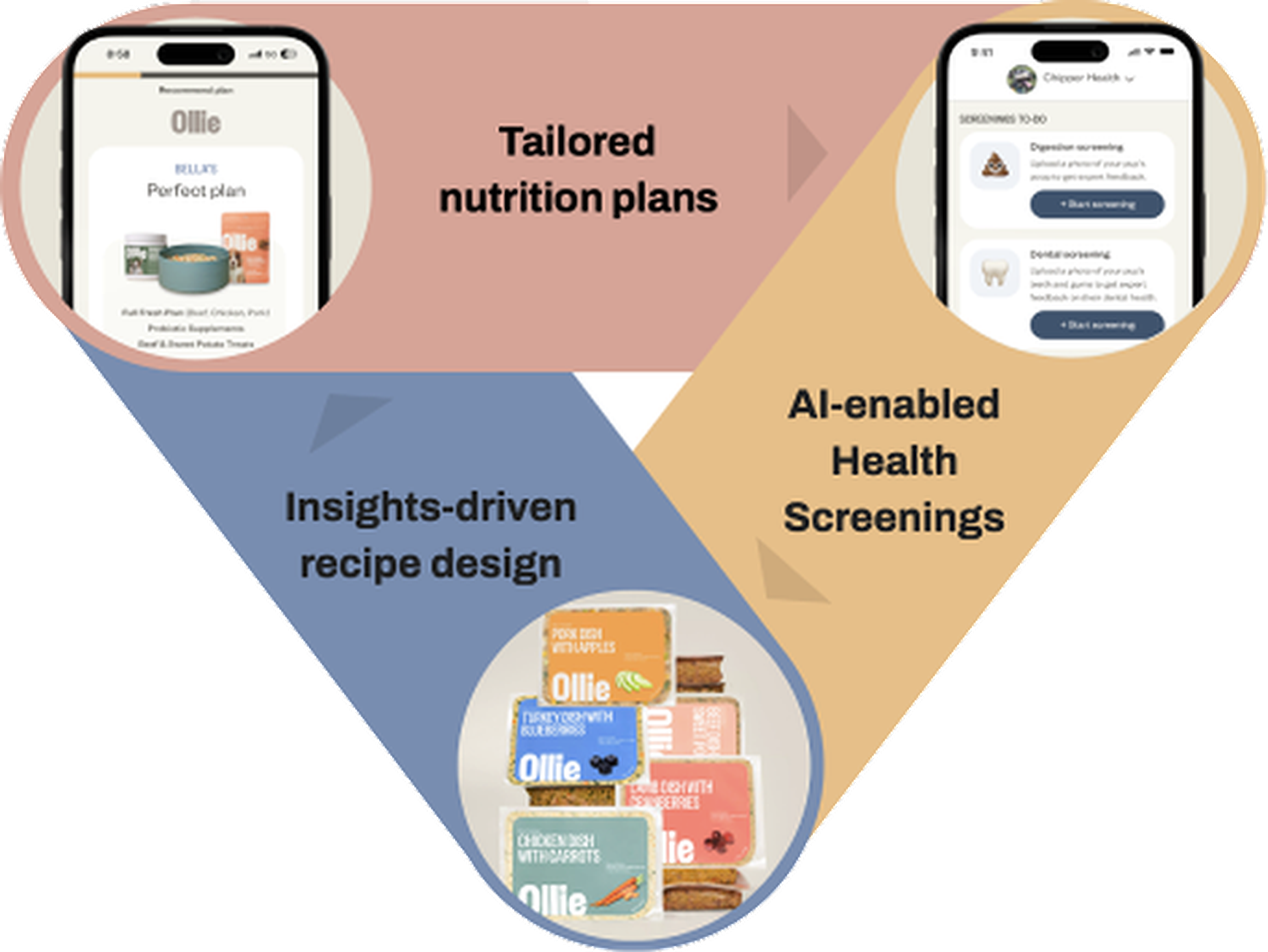 infographic illustrating the Ollie foodback loop