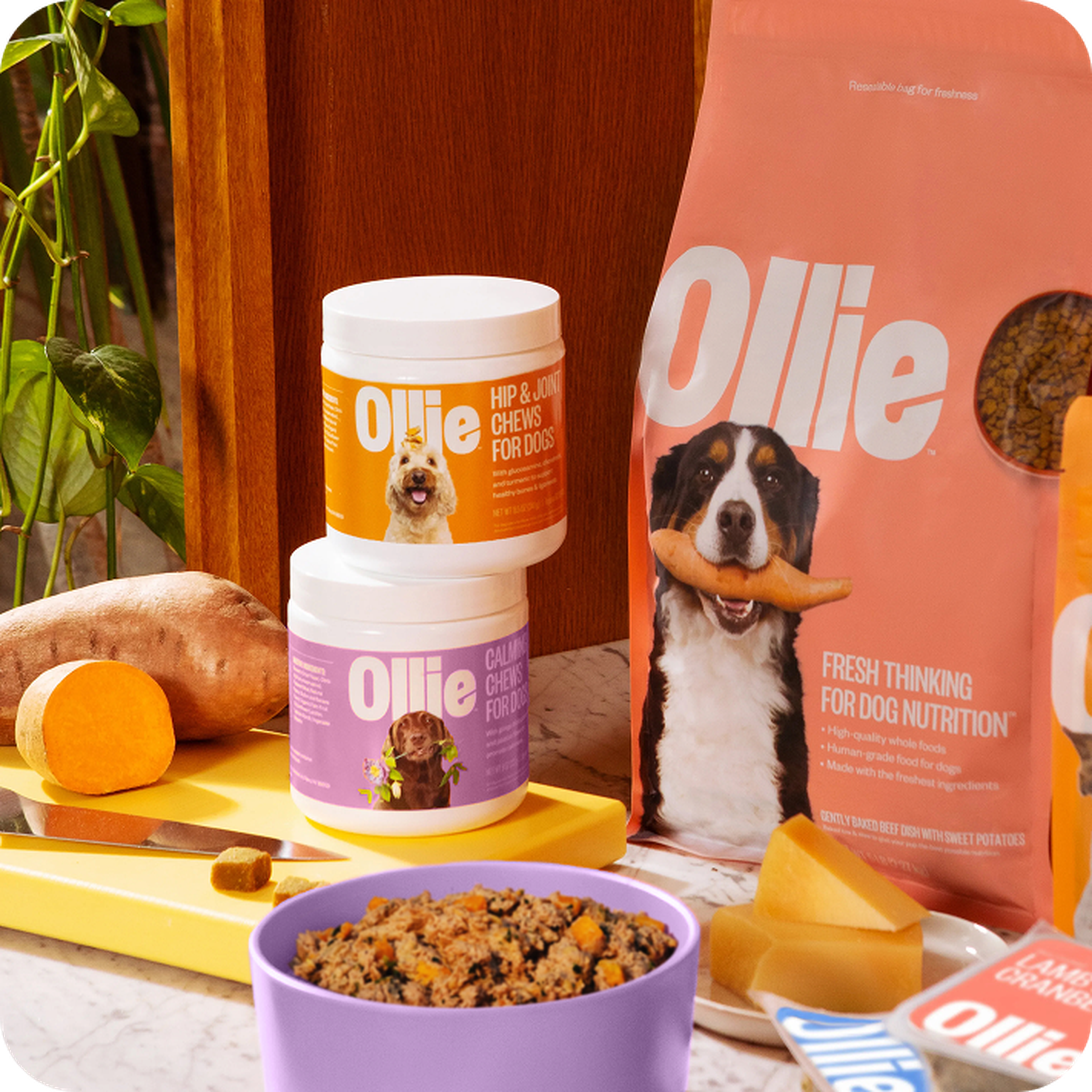 Dog food and treats on a table, including Ollie chews and dry food, with a purple bowl of dog food and sweet potatoes nearby.