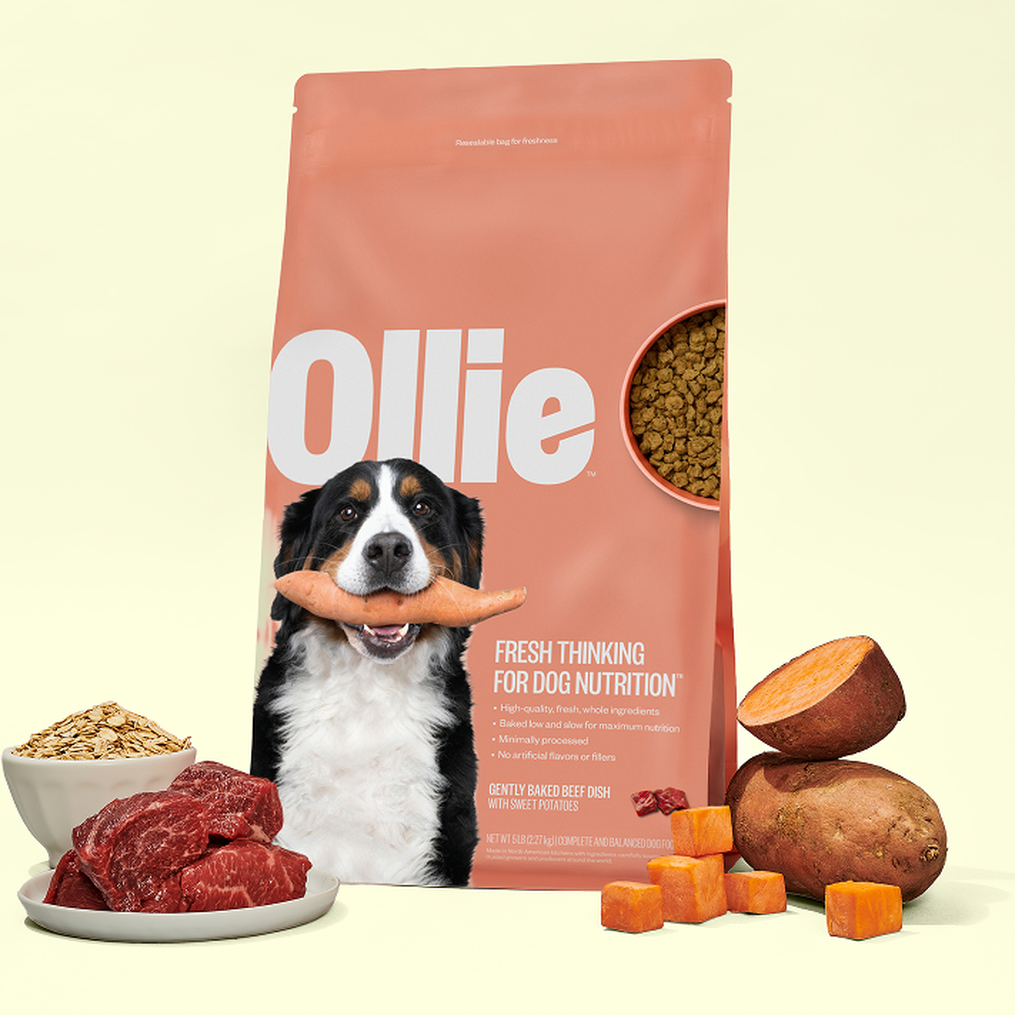 A dog holding a carrot is shown on a bag of Ollie Baked dog food, surrounded by bowls of beef, oats, and sweet potatoes, promoting nutrition.