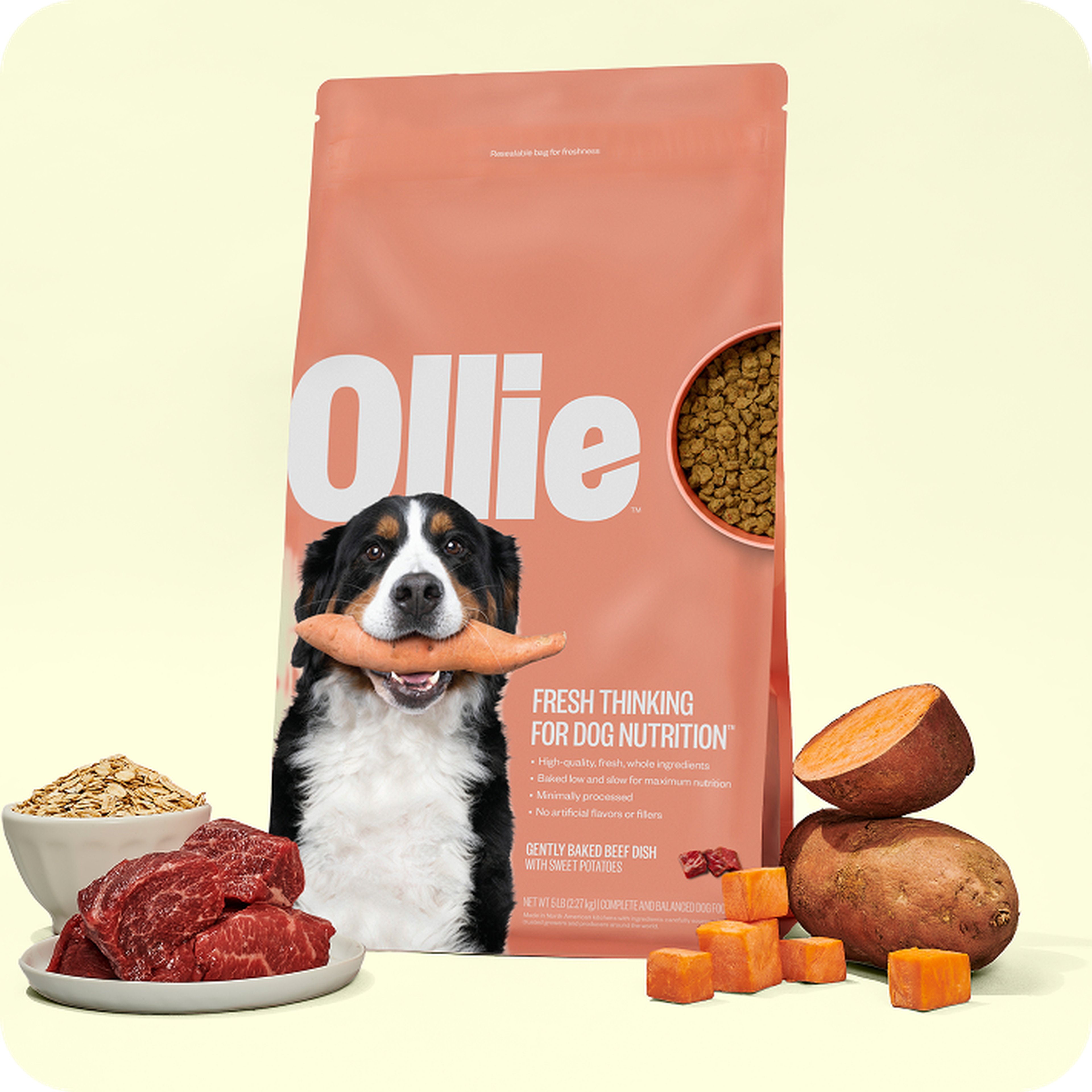 A dog holding a carrot is pictured on a bag of Ollie Baked dog food. Surrounding the bag are ingredients such as sweet potatoes, raw beef, and grains.