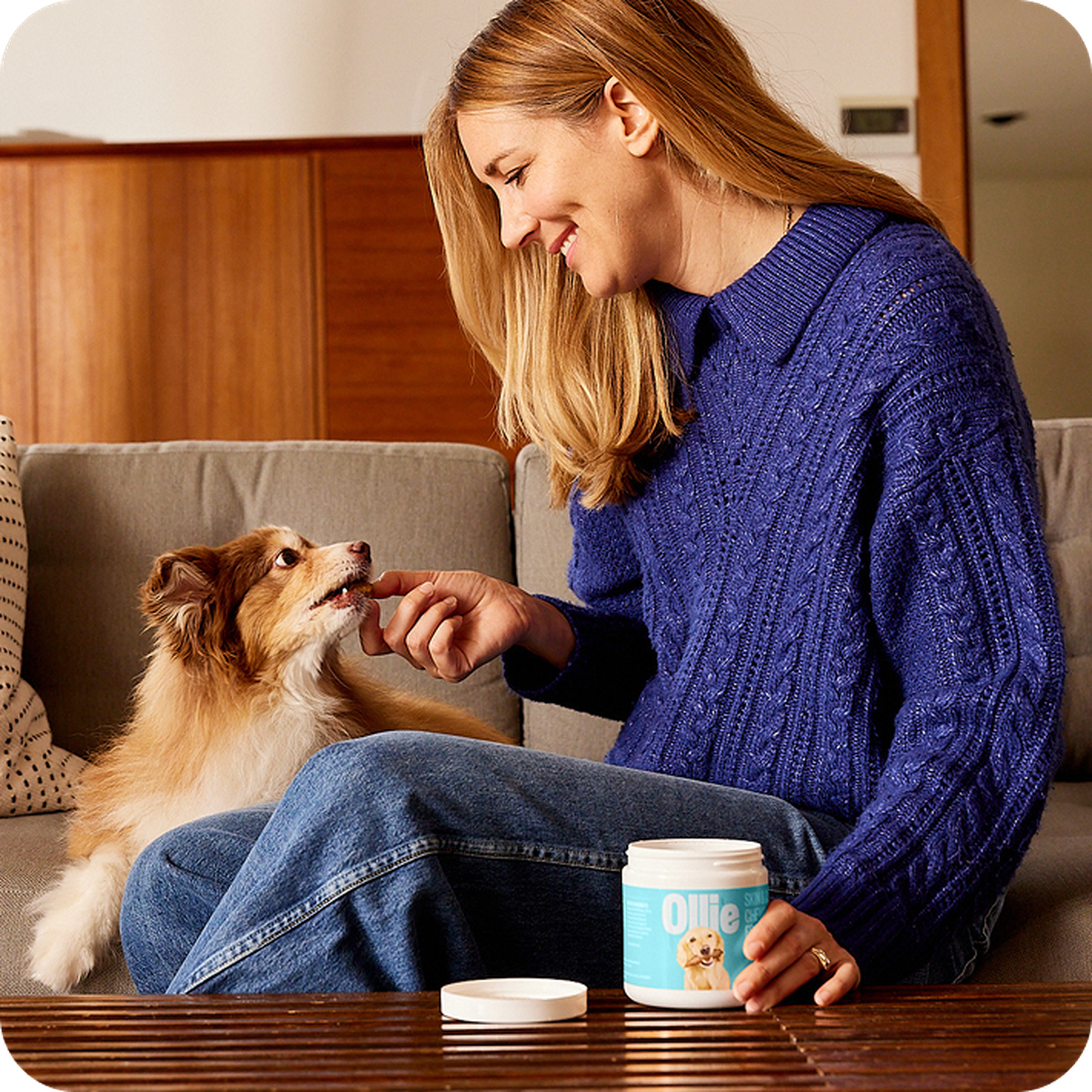 Woman in a blue sweater giving a treat to a small dog on a couch, with a container labeled "Ollie" beside her.