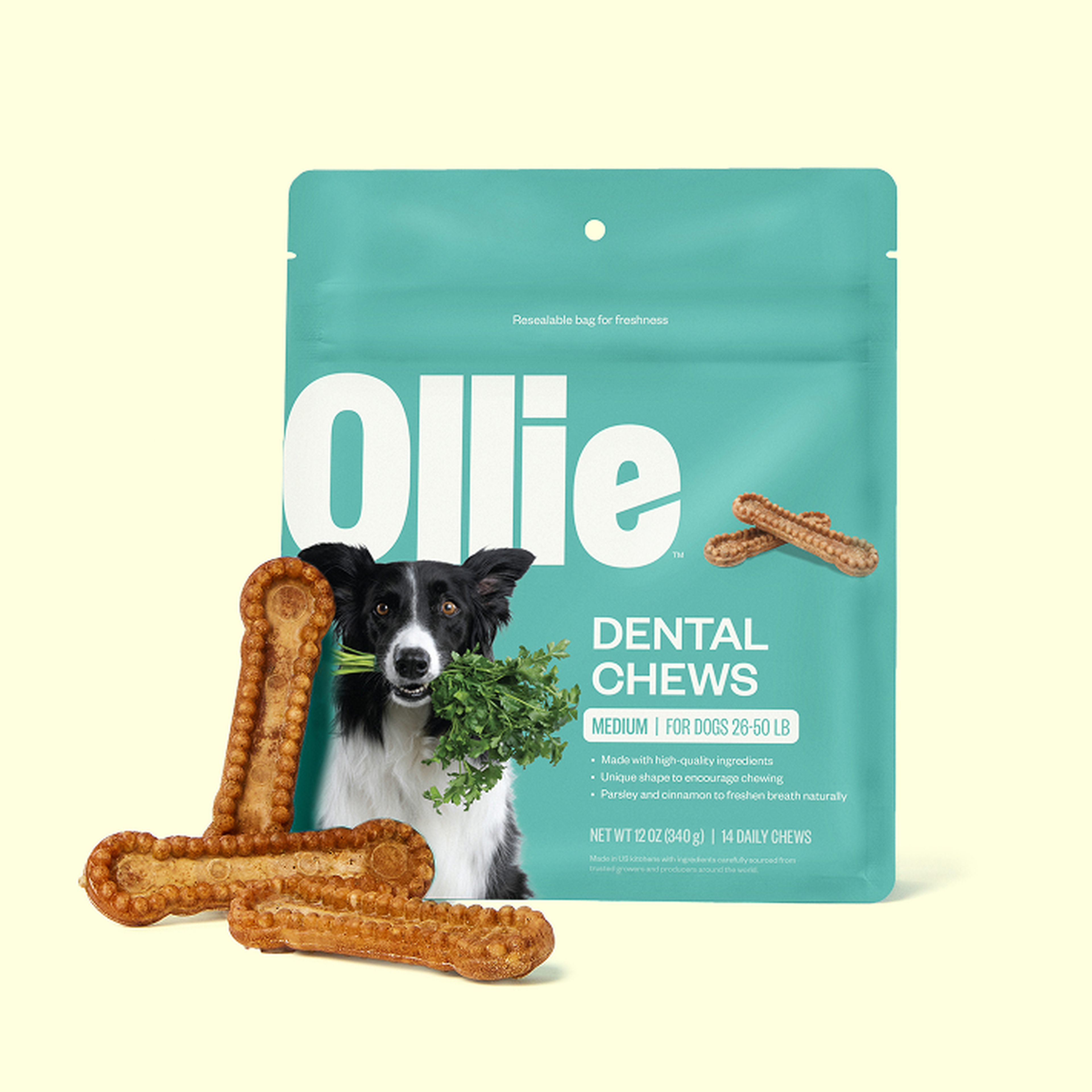 Package of Ollie Dental Chews for medium dogs with a dog's face and parsley, surrounded by bone-shaped chews.