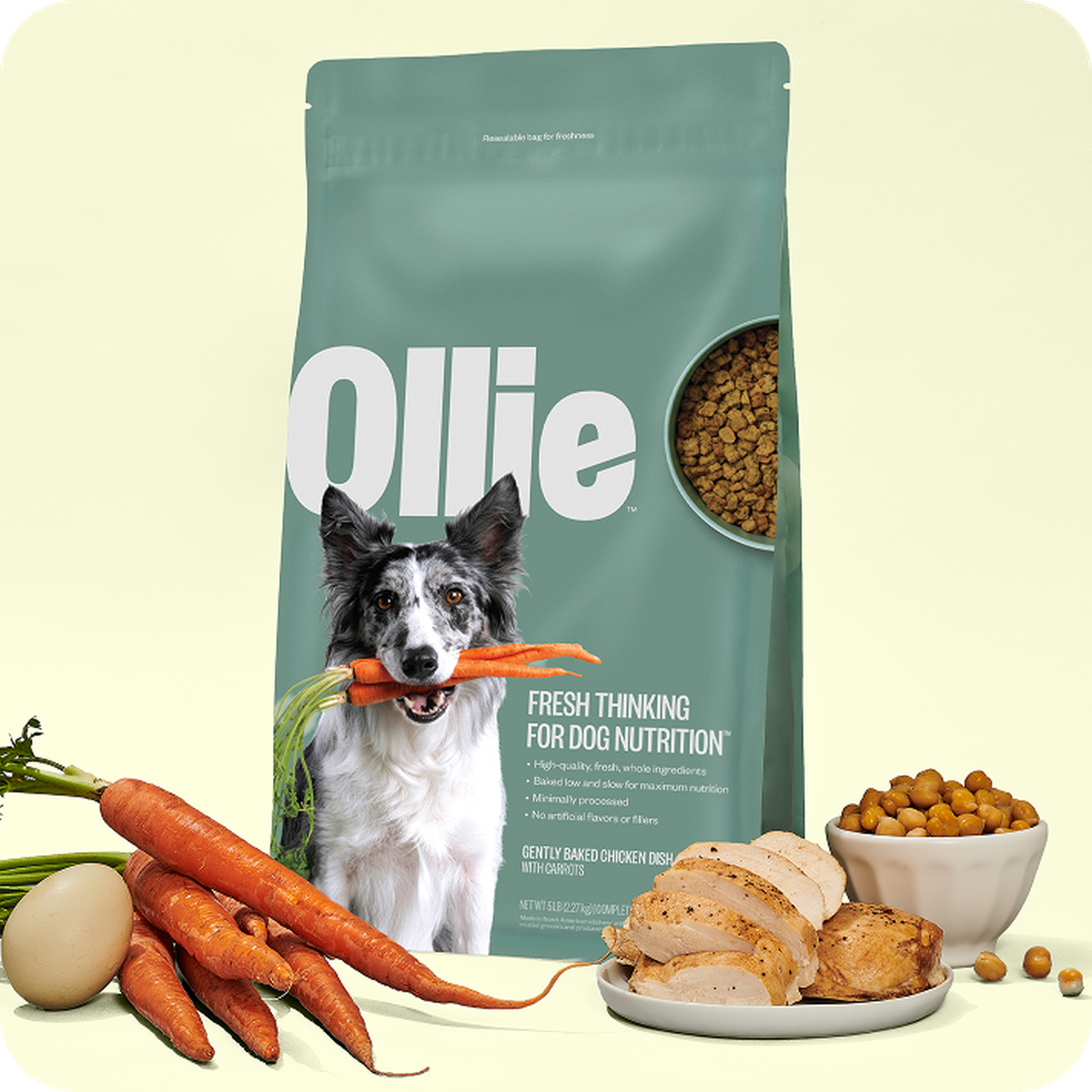 Dog food package labeled "Ollie" with a dog holding a carrot. Surrounding are carrots, chicken slices, chickpeas, and an egg.