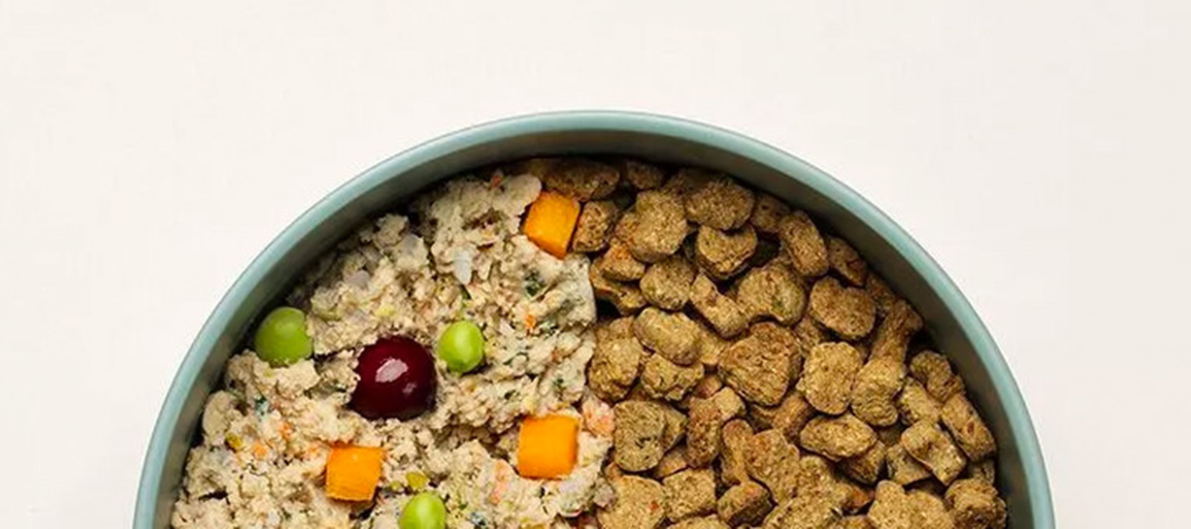 Ollie's fresh and baked food in a bowl.