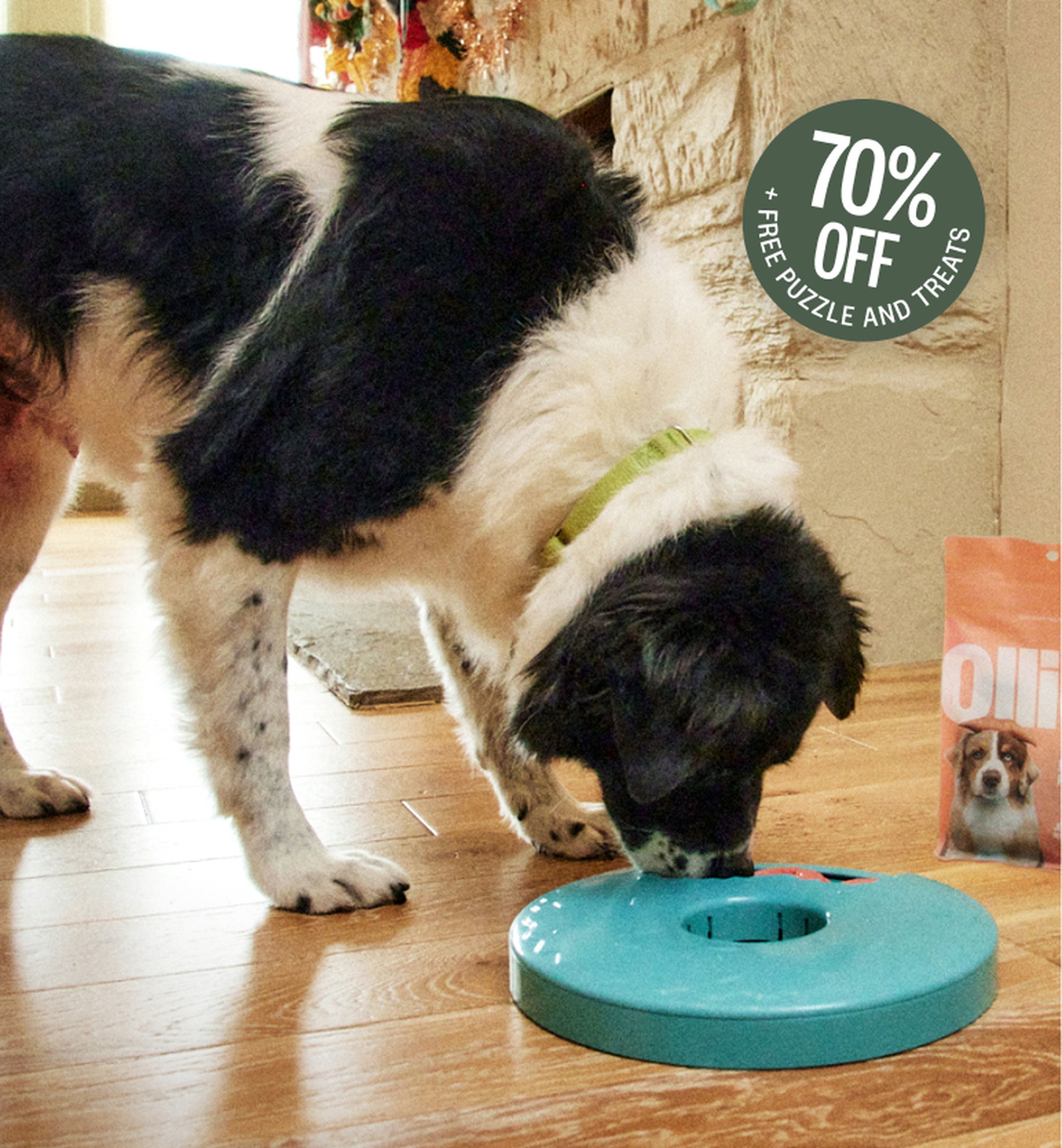 Black and white dog interacts with a blue puzzle toy on a wooden floor. Nearby, a pink dog treat bag is visible, and a 70% off offer is noted.