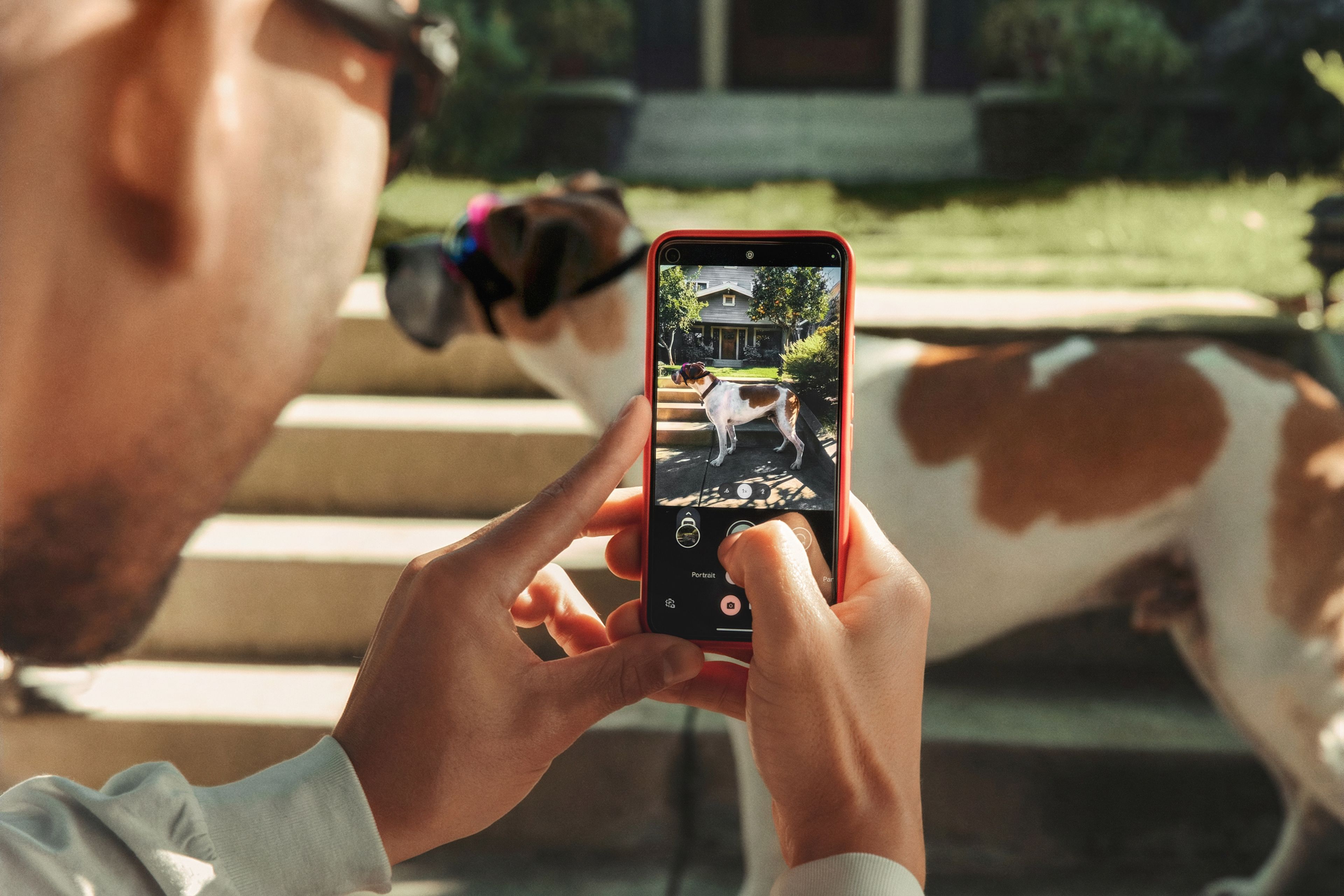 A person takes a photo of a dog wearing sunglasses with a smartphone. The dog stands in front of a house and stairs.
