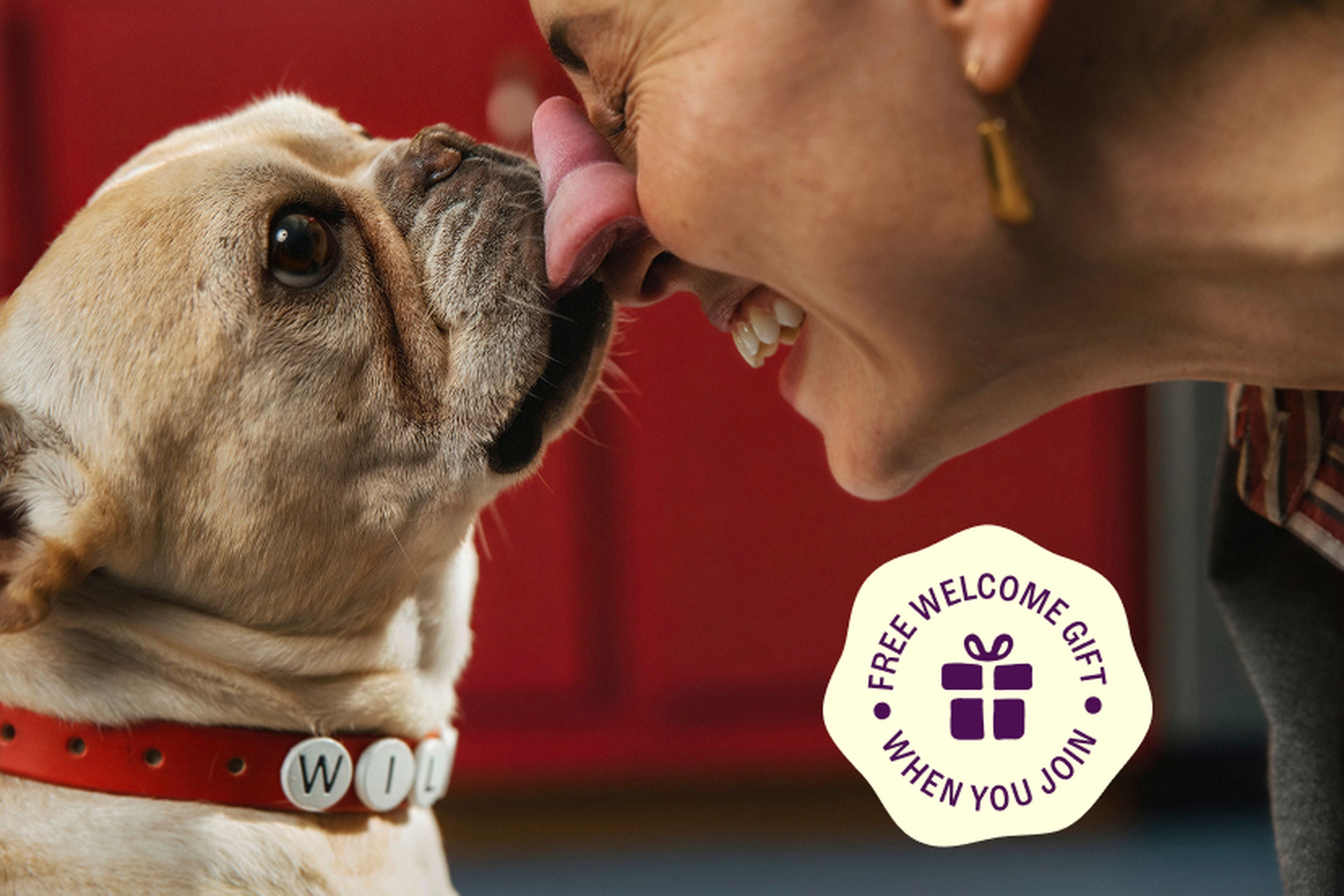 A person smiling as a brown and white French Bulldog licks their nose. The dog wears a red collar. A badge reads, "Free Welcome Gift When You Join."