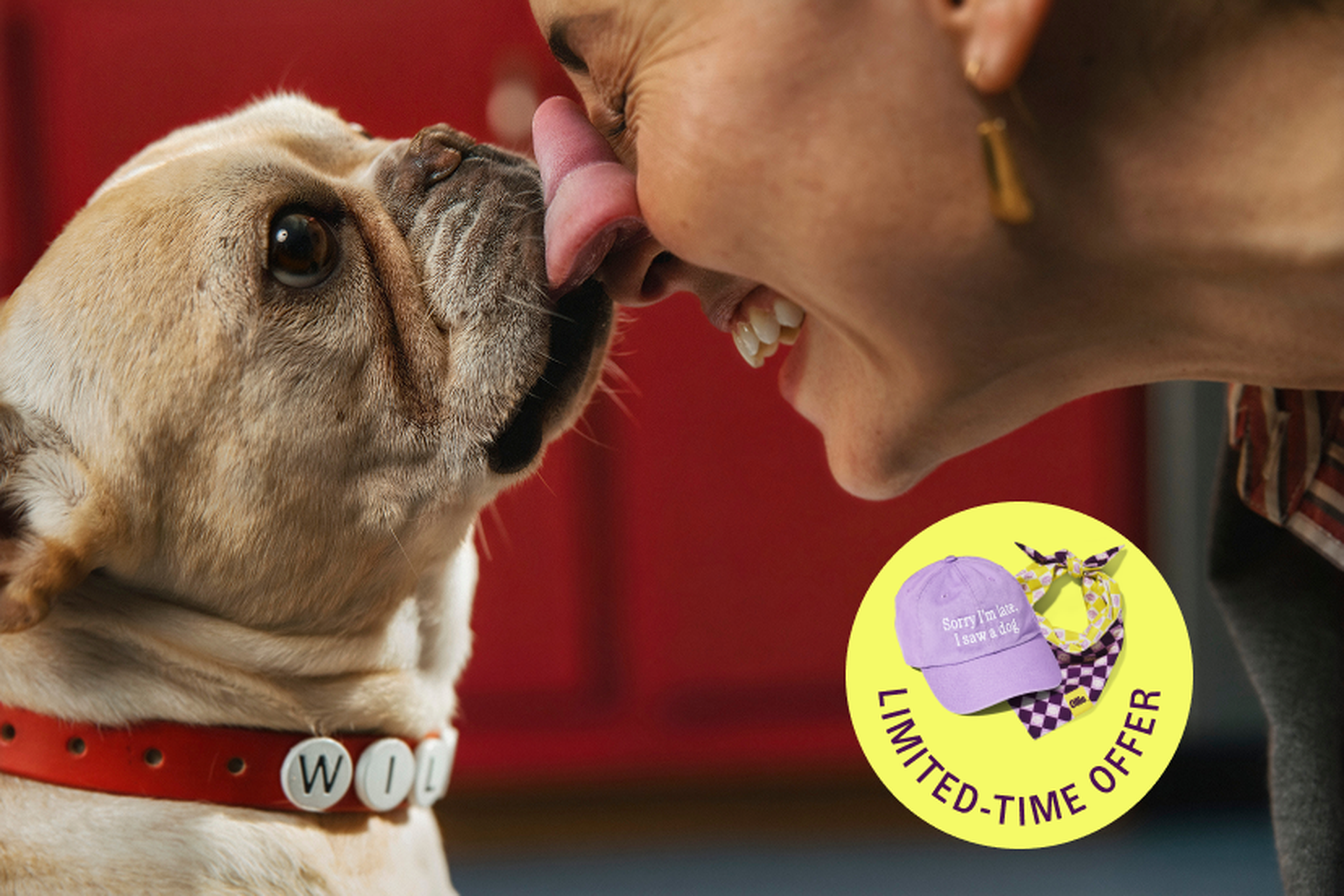 A person smiles as a French Bulldog licks their nose, wearing a red collar named "Wil". A "Limited-Time Offer" badge shows a hat and bandana.
