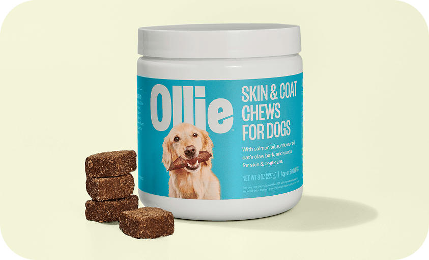 calories in royal canine dog food Royal Canin Puppy Appetite Stimulation Canned Dog Food