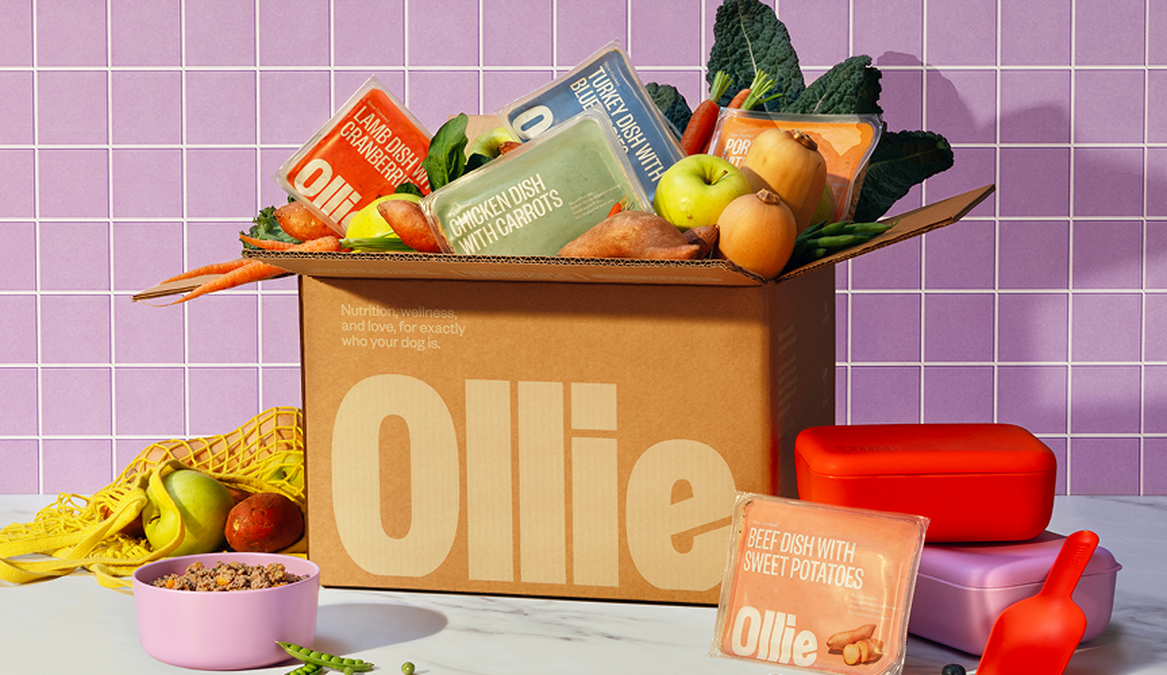 Cardboard box labeled "Ollie" filled with packaged dog food and fresh produce, set against a tiled wall with a bowl and scoop nearby.