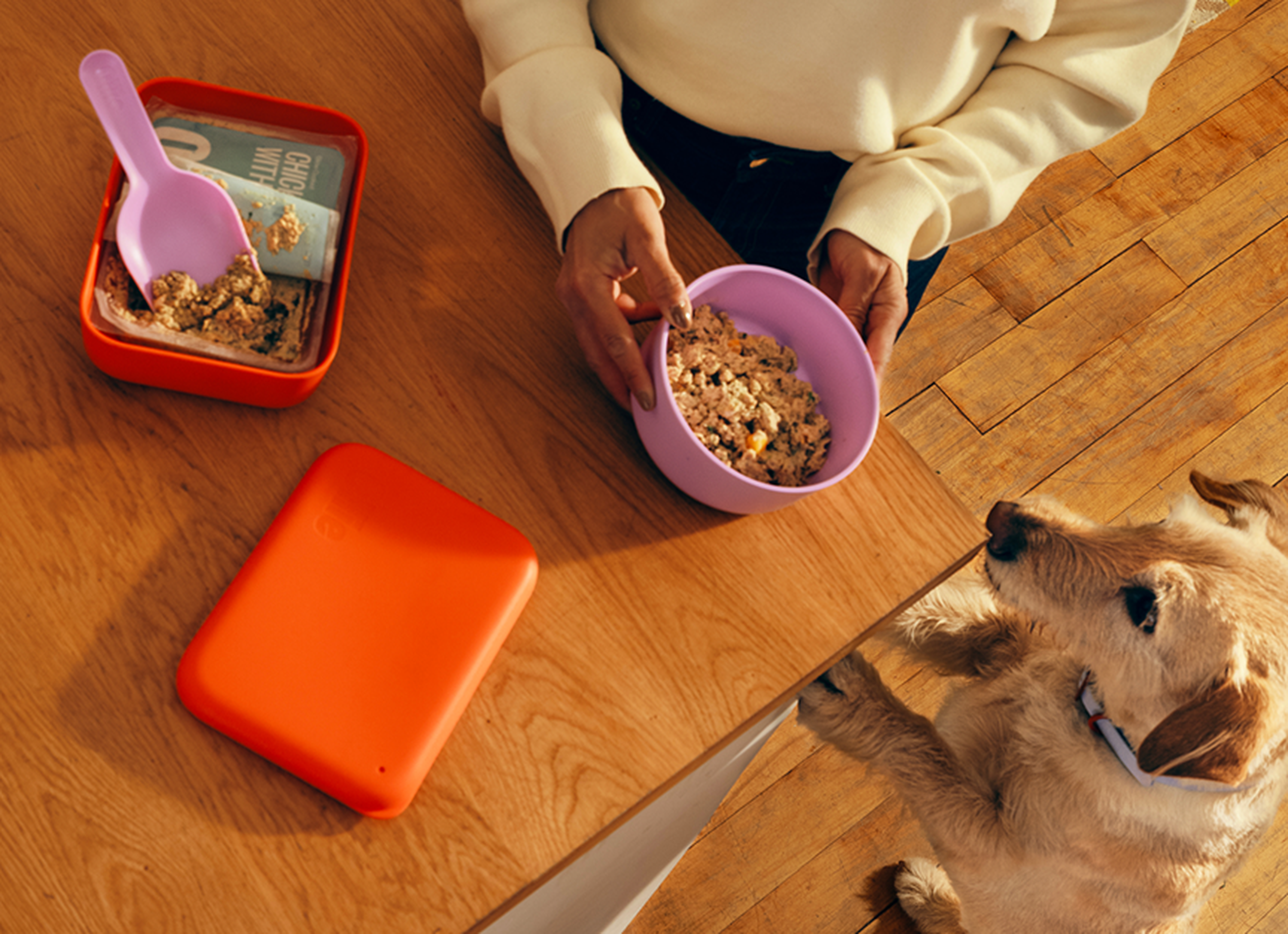 A person holds a purple bowl of food at a wooden table while a dog stands nearby. An orange container with a scoop is also on the table.