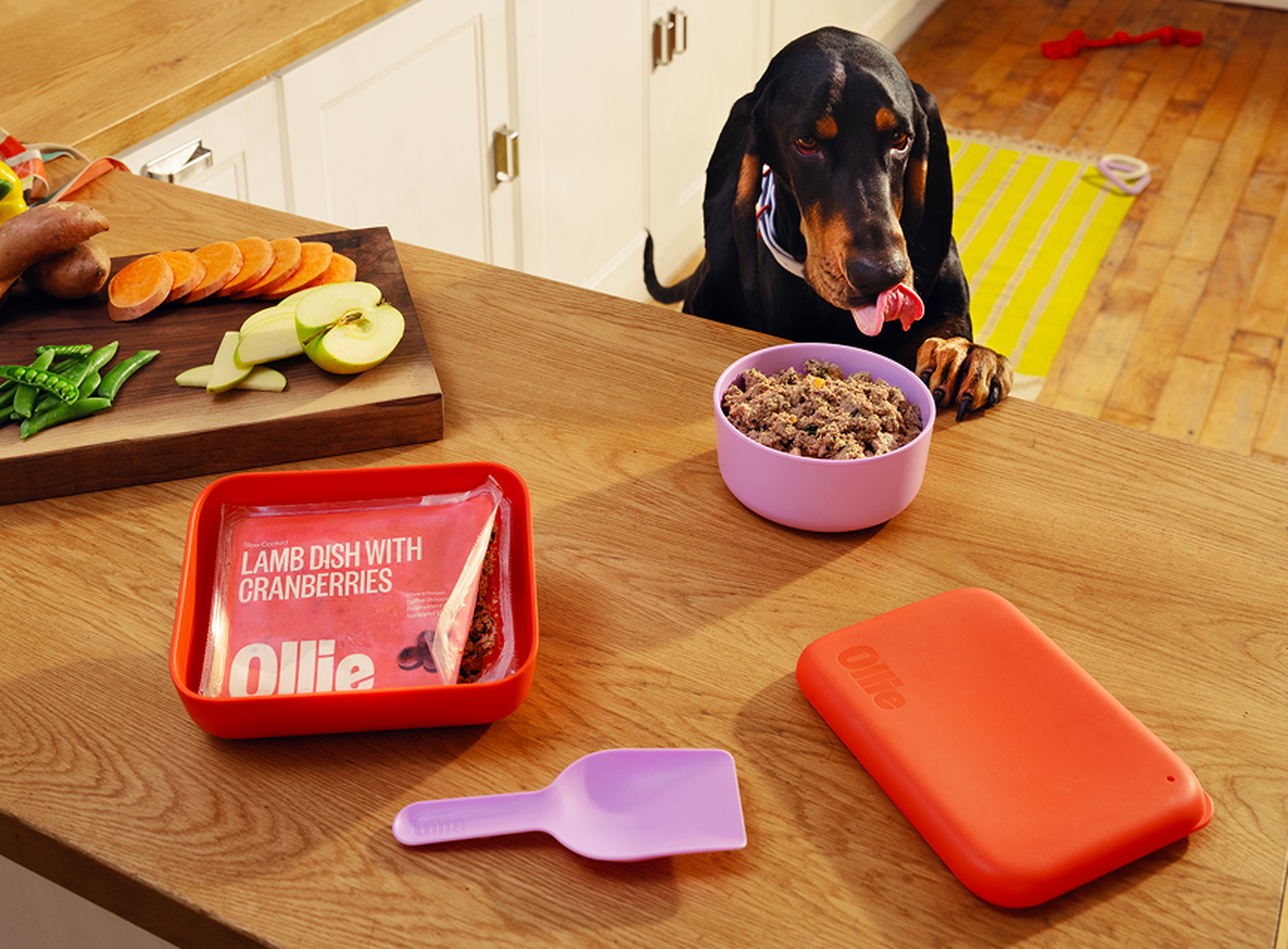 A dog eagerly waits at a kitchen counter with a bowl of food and a labeled package of lamb dish with cranberries. Sliced vegetables are nearby.