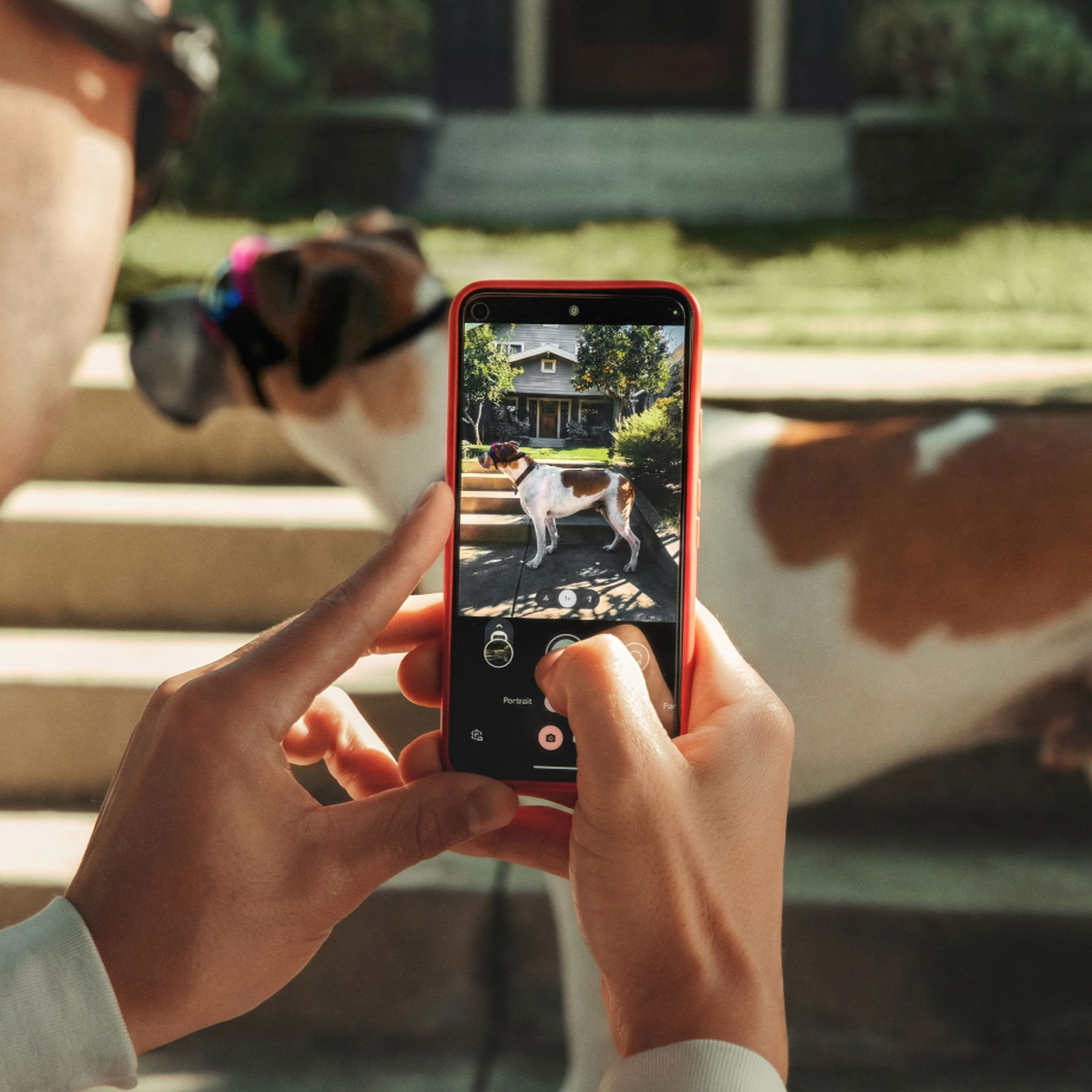 Person taking a photo of a dog wearing sunglasses using a smartphone, with a house in the background.