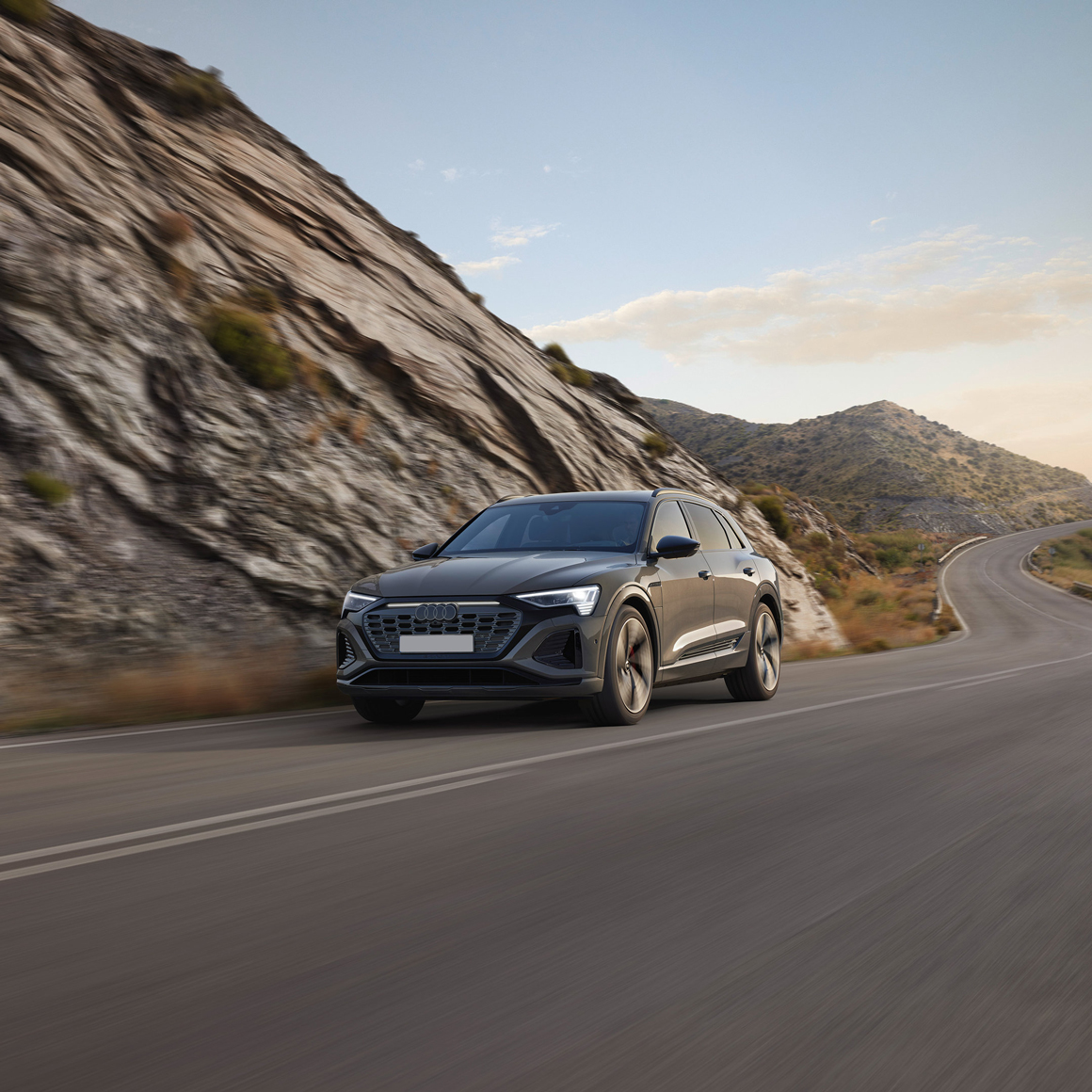 etron-servicing-2