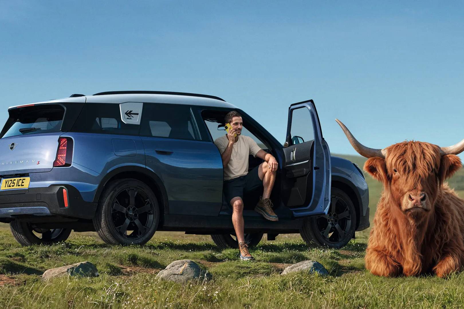 Image of a man on the phone sitting in the Mini with a highland cow sat next to the car.