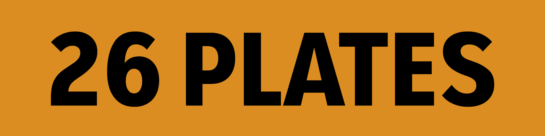 SEAT 26 PLATES BANNER