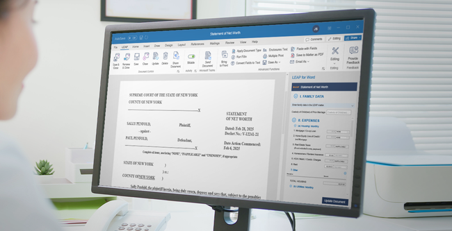 A person views a legal document titled "Statement of Net Worth" on a computer screen with editing tools visible in the toolbar.