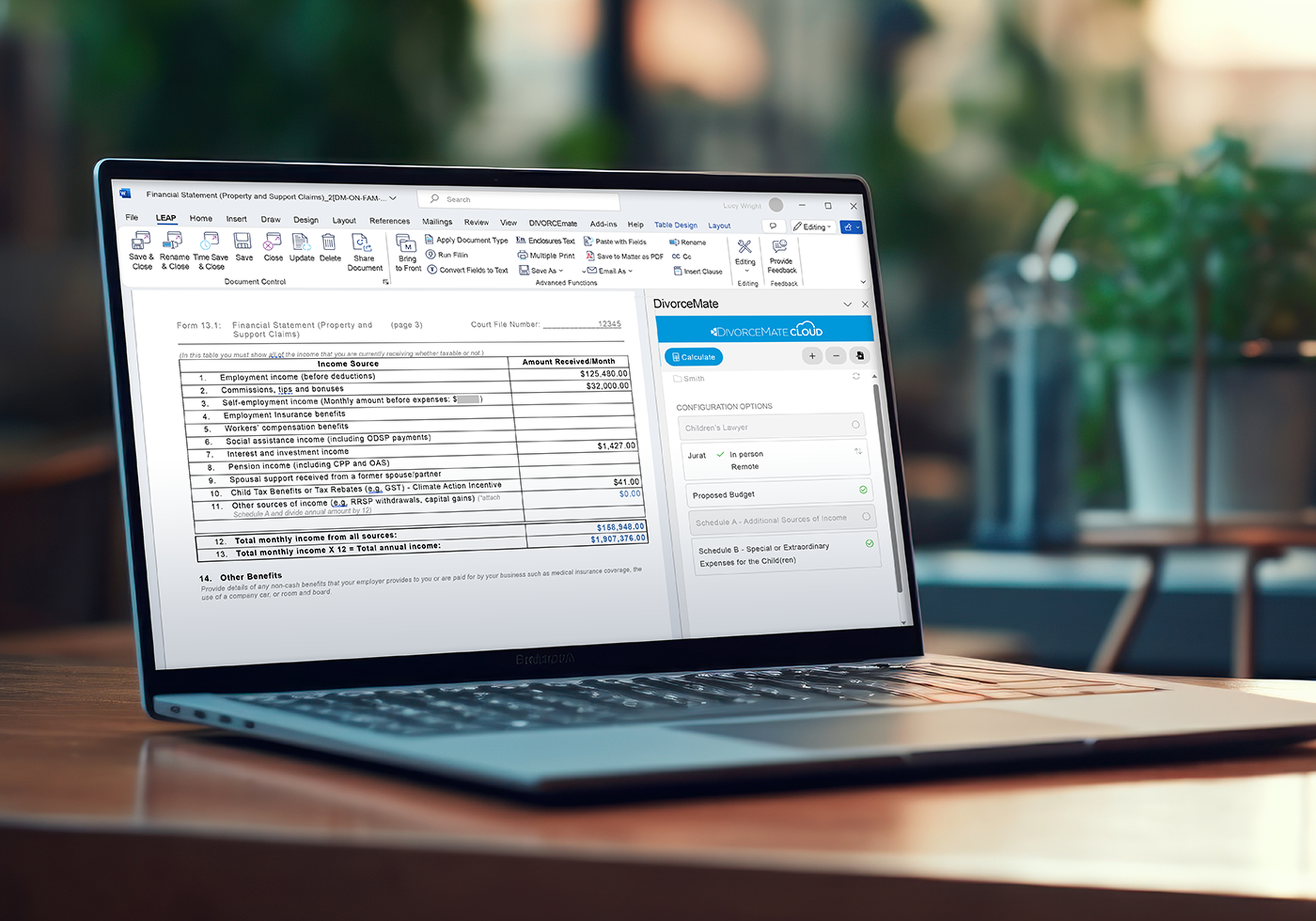 laptop with DivorceMate in LEAP open
