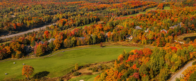 large golf field with fall colored trees and sky on the horizon