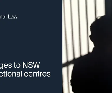 Silhouette of a person behind bars with text: "Criminal Law: Changes to NSW correctional centres," and a "Blog" button.