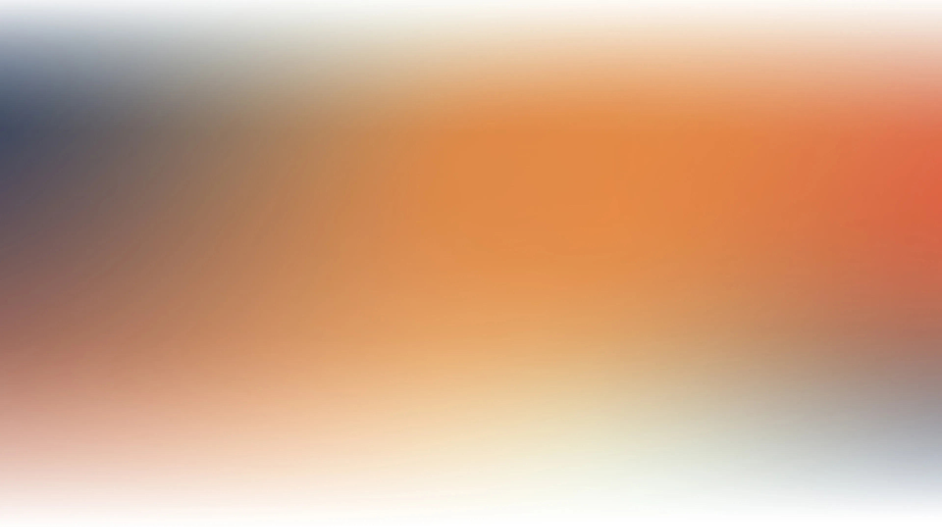 Website 4