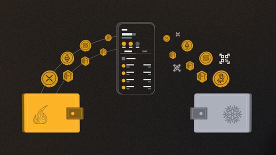 header-moving-funds-from-a-hot-to-a-cold-wallet-crypto-app-crypto-coins