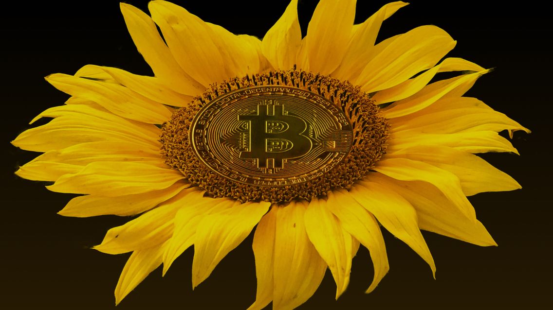 2-what-is-the-environmental-impact-of-crypto_