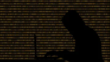 hackers