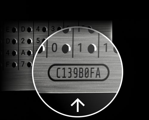 unique-upper-plate-for-everyone-4