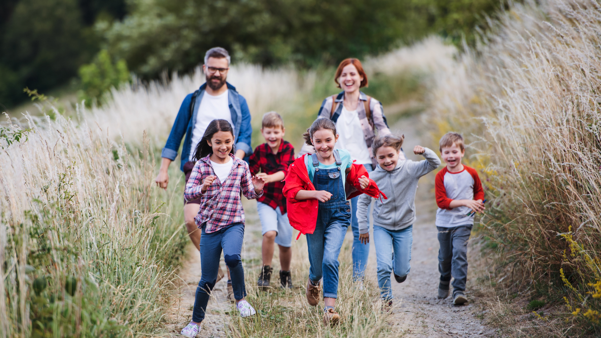 Midhurst Valley Trail System: Your Gateway to Nature
