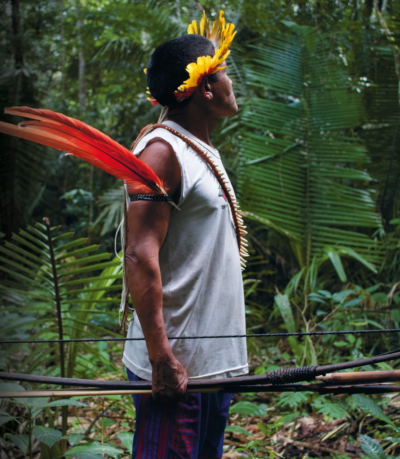 Please update description here to improve SEO