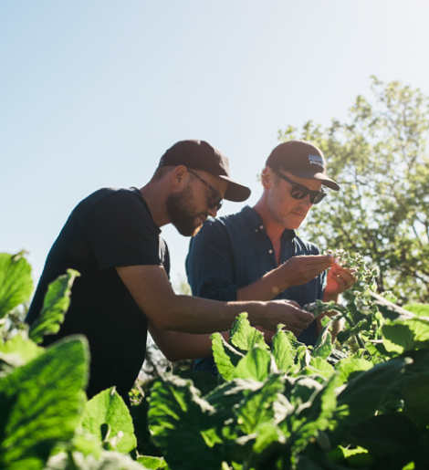 Farmers